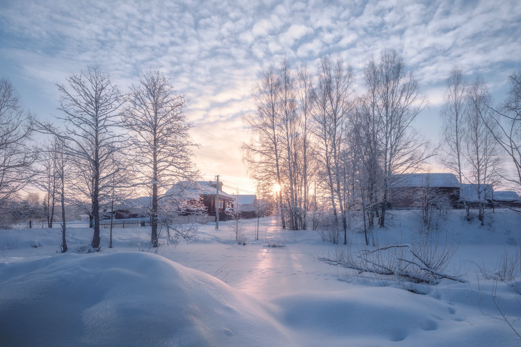 зима,утро.снег,солнце,мороз,иней,деревня, Виталий Полуэктов