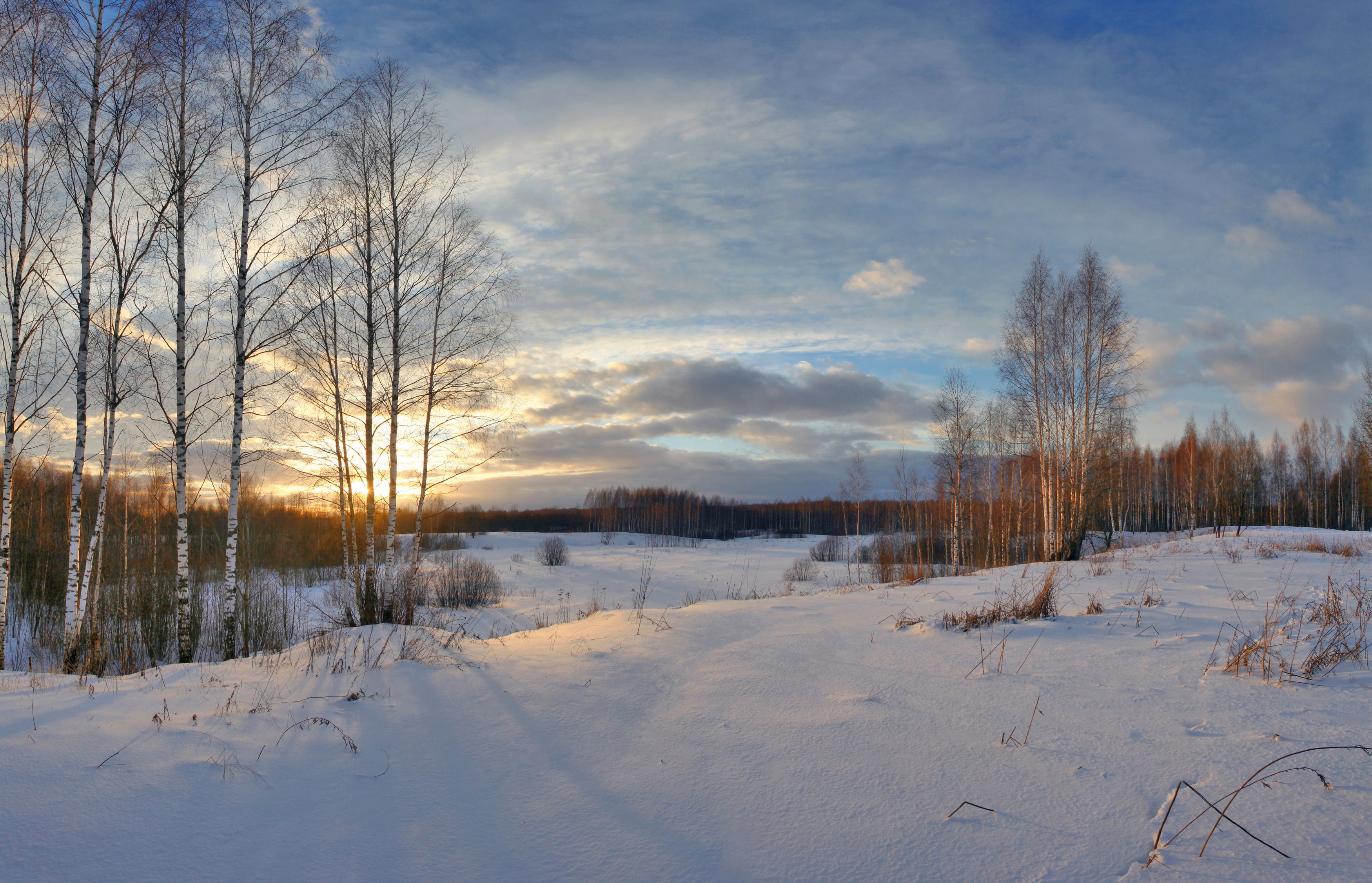 зима , поле , лес , закат, Александр Свистков