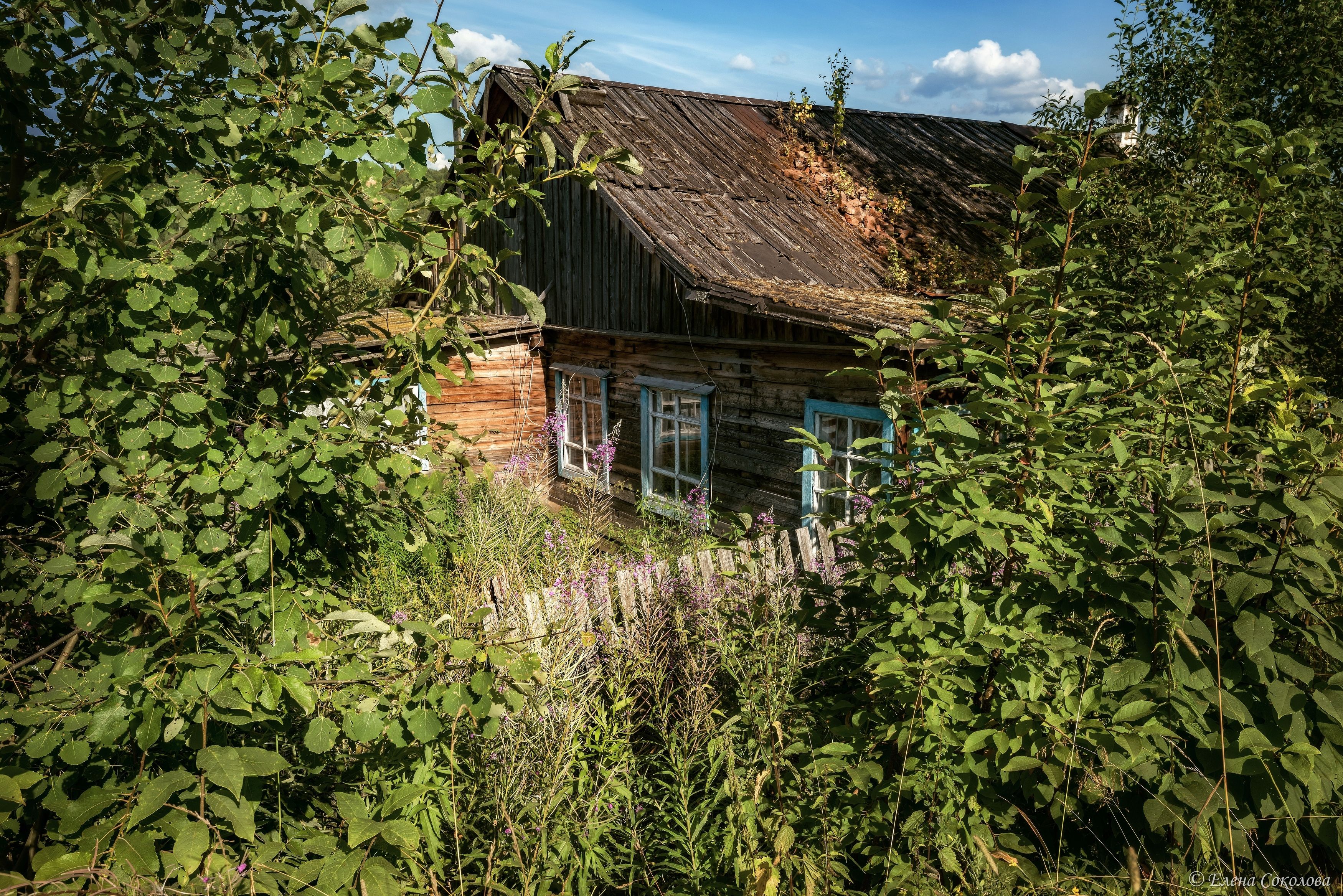валай, поселок, пермский край, чердынский район, лето, деревня, старый дом, Соколова Елена