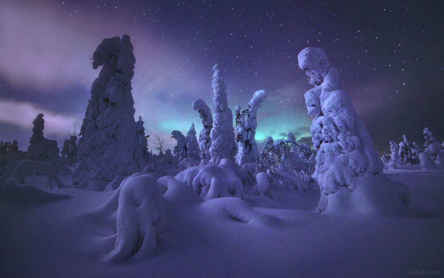 кандалакша, ночь, зима, северное сияние, aurora borealis, полярное сияние, заснеженные деревья, сопка, Степаненко Николай