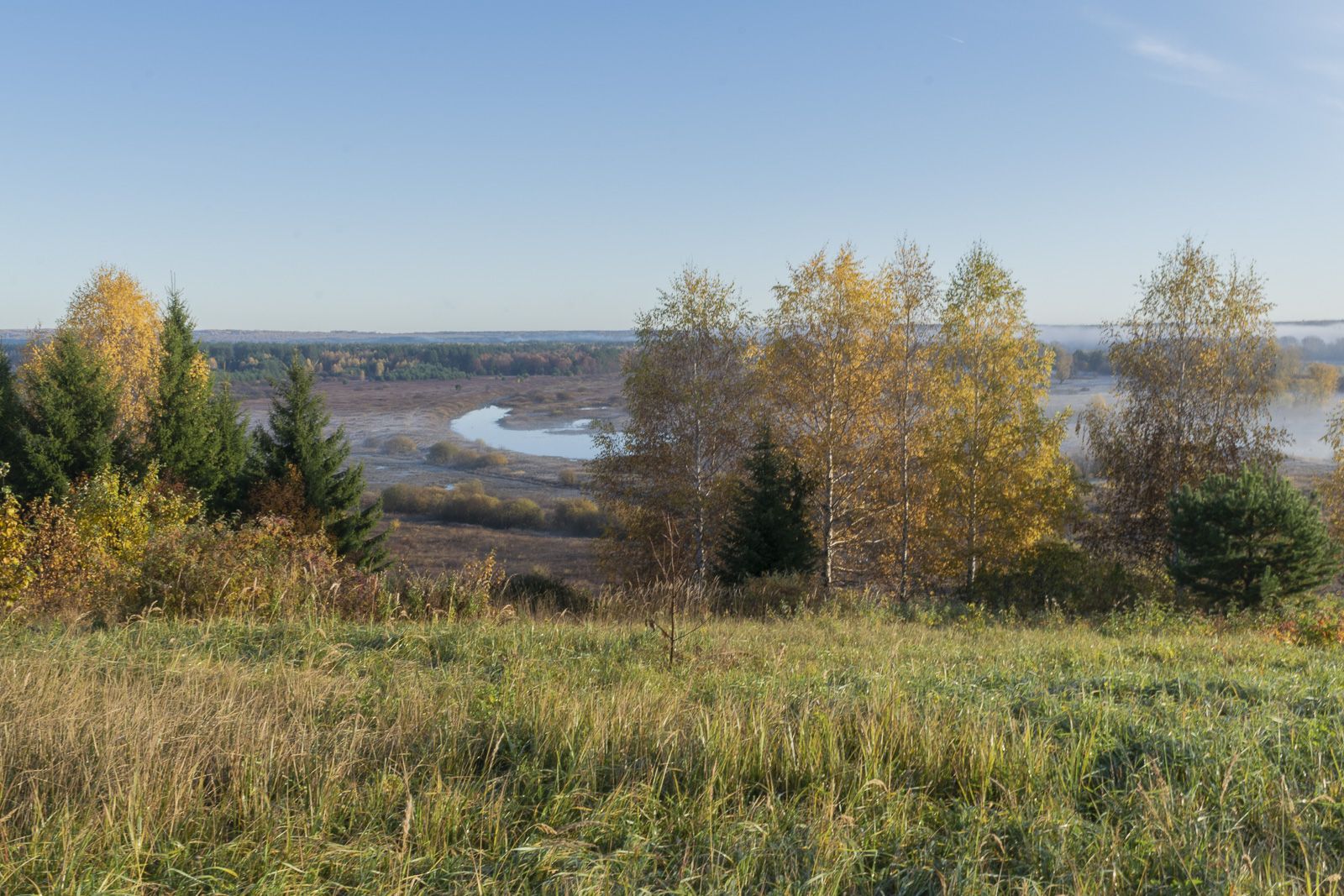 , Галина Луценко