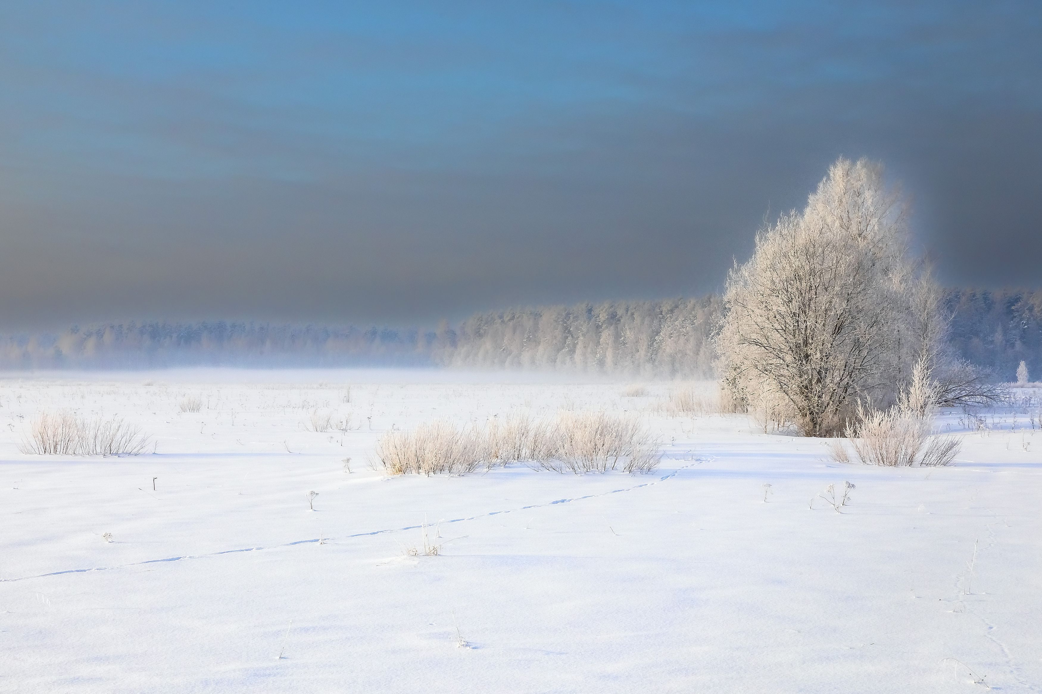 пейзаж, зима, природа, день, Игнатьев Александр