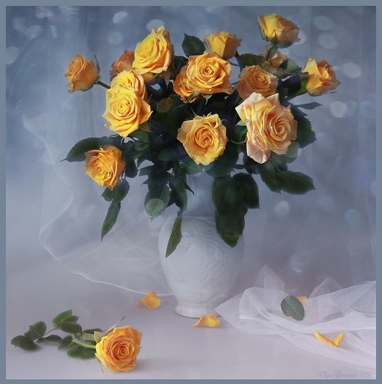 фото, натюрморт, желтые, розы, цветы, Ольга Горелова