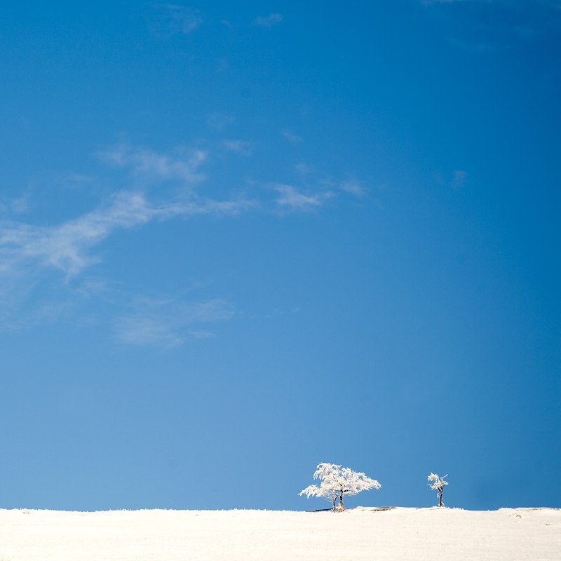 горы, зима, крым, деревья, снег, минимализм, Юрчик Шиндин
