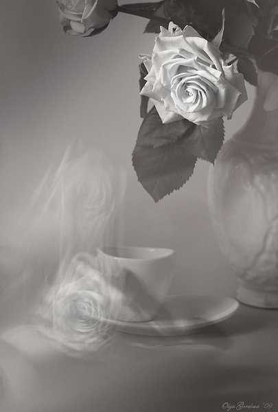 фото, чайные, розы, натюрморт, Ольга Горелова