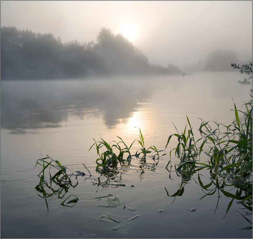 река, жиздра, рыбаки, туман, утро, восход, солнце, Boris Bort