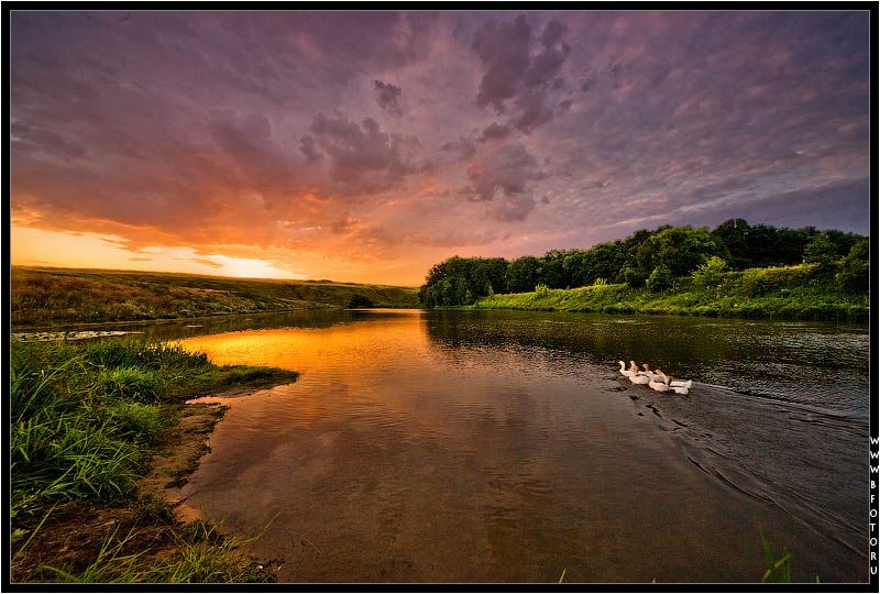 пейзаж, река, рассвет, красивая меча, липецкая область, гуси, Алексей Строганов