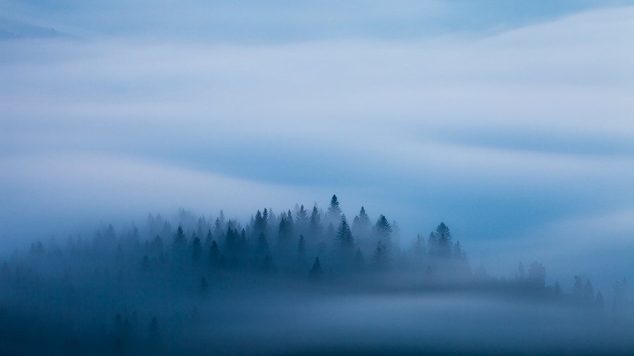 slovakia, light, morning, blue, fog, mist, mountains, spring, trees, flow, twilight, dawn, mood, atmosphere, landscape, nature, Martin Rak