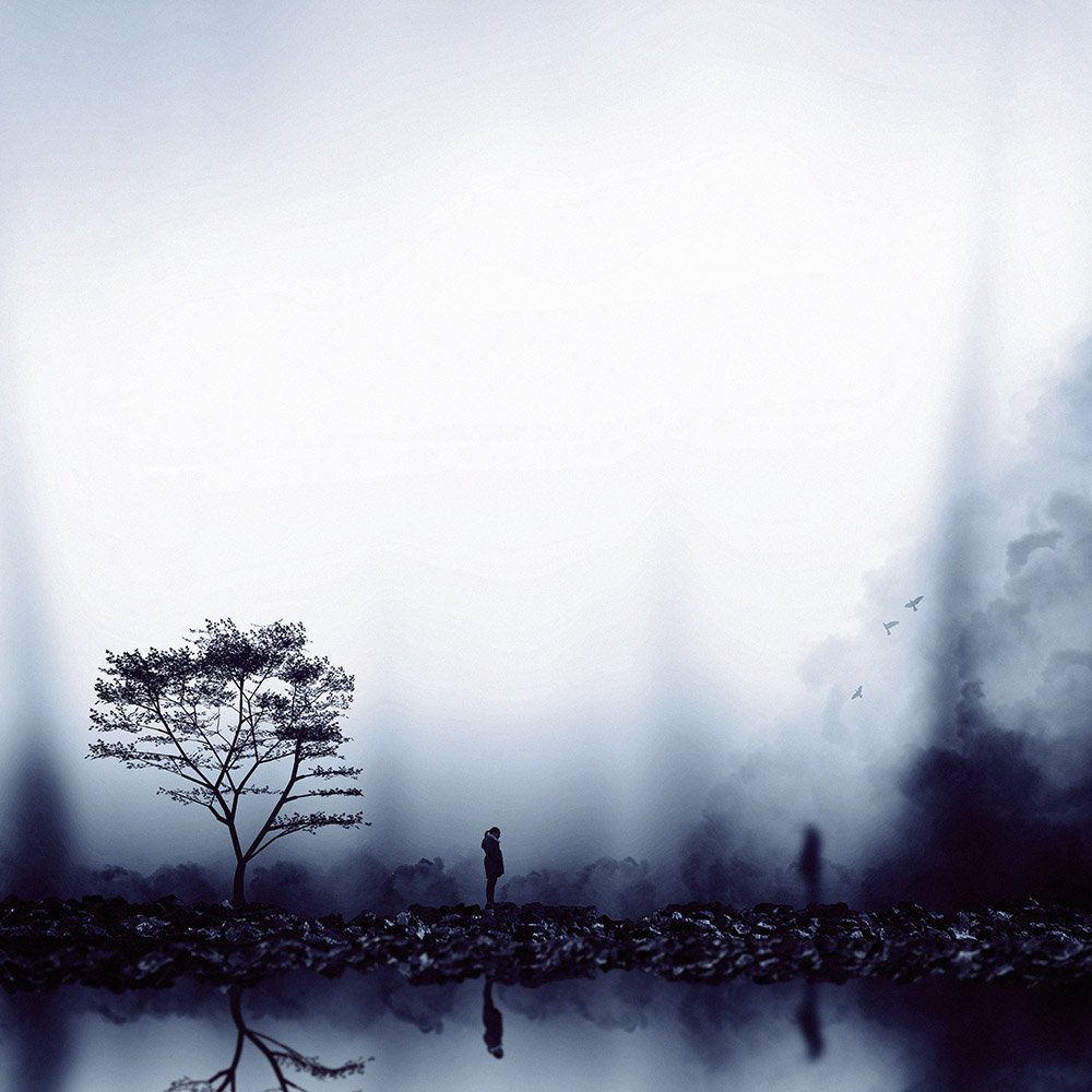 concept, fine art, fineart, photography, manipulation, tree, landscape, nature, shadow, ghost, girl, smoke, birds, creative,, milad safabakhsh