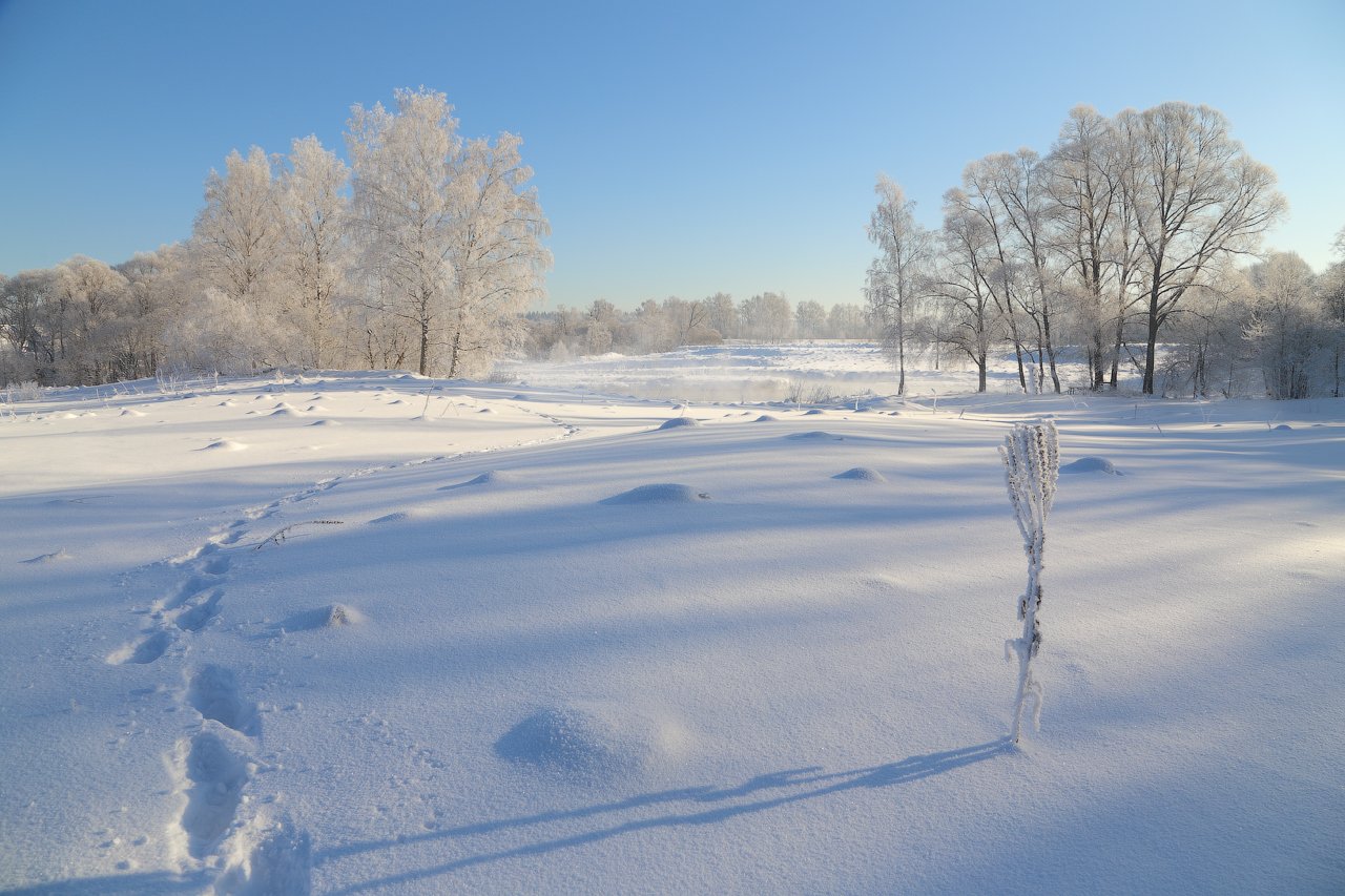 зима, снег, солнце, тени, Виктор Климкин