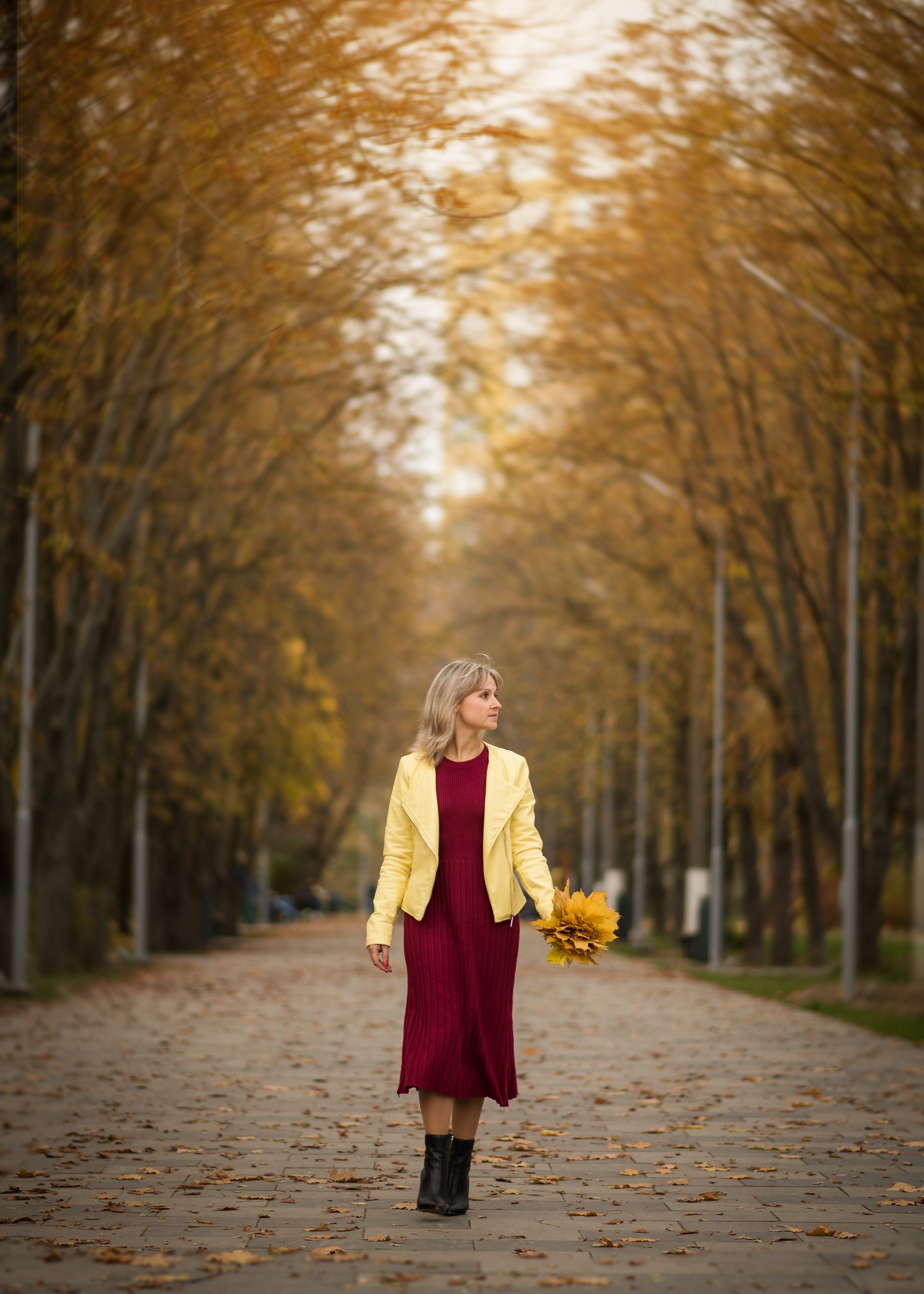 девушка, осень, аллея, листья, деревья, желтый, платье, Дмитрий Величко