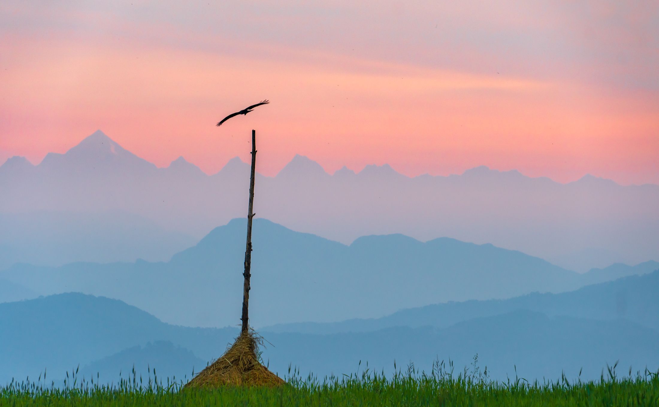 #himalaya #india #landscape #nature #morning #sunrise, Digvijay singh Janoti