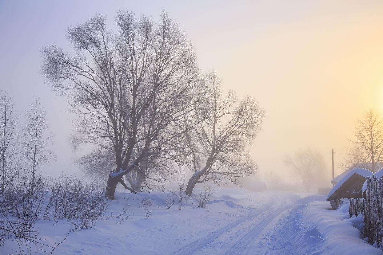 утро, мороз, туман, рассвет, серково, март, Дмитрий Алексеев