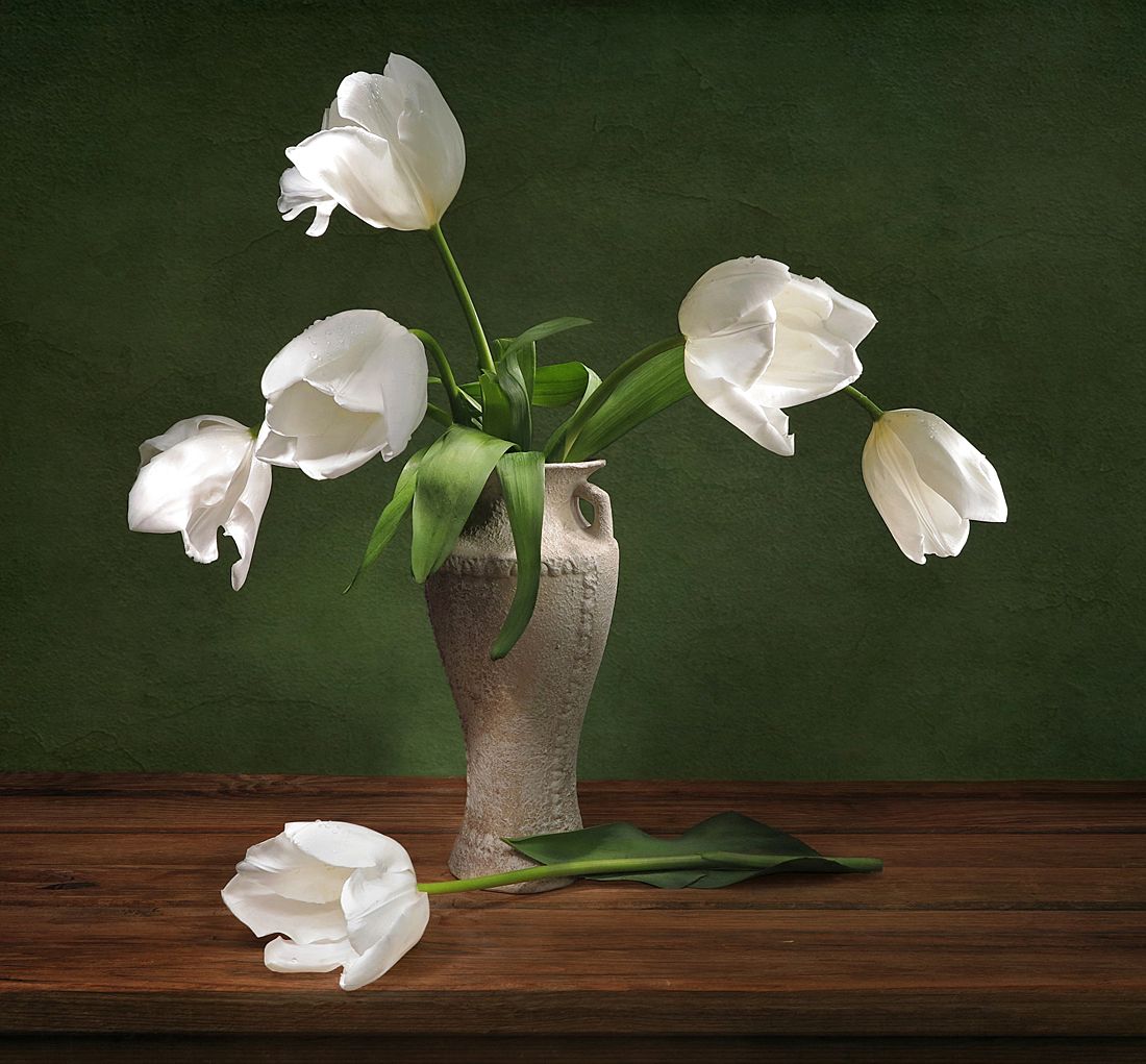 натюрморт,весна,белые тюльпаны,ваза, Алла Шевченко