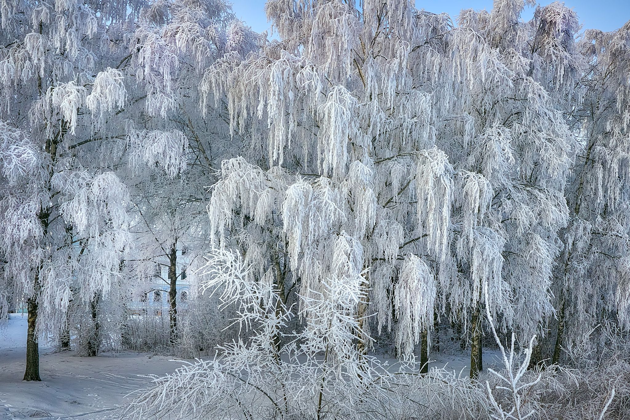 , Владислав Храмцов