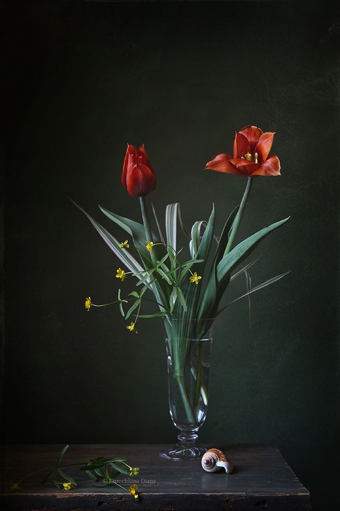 натюрморт, цветы, тюльпаны, букет, весна, Курочкина Диана