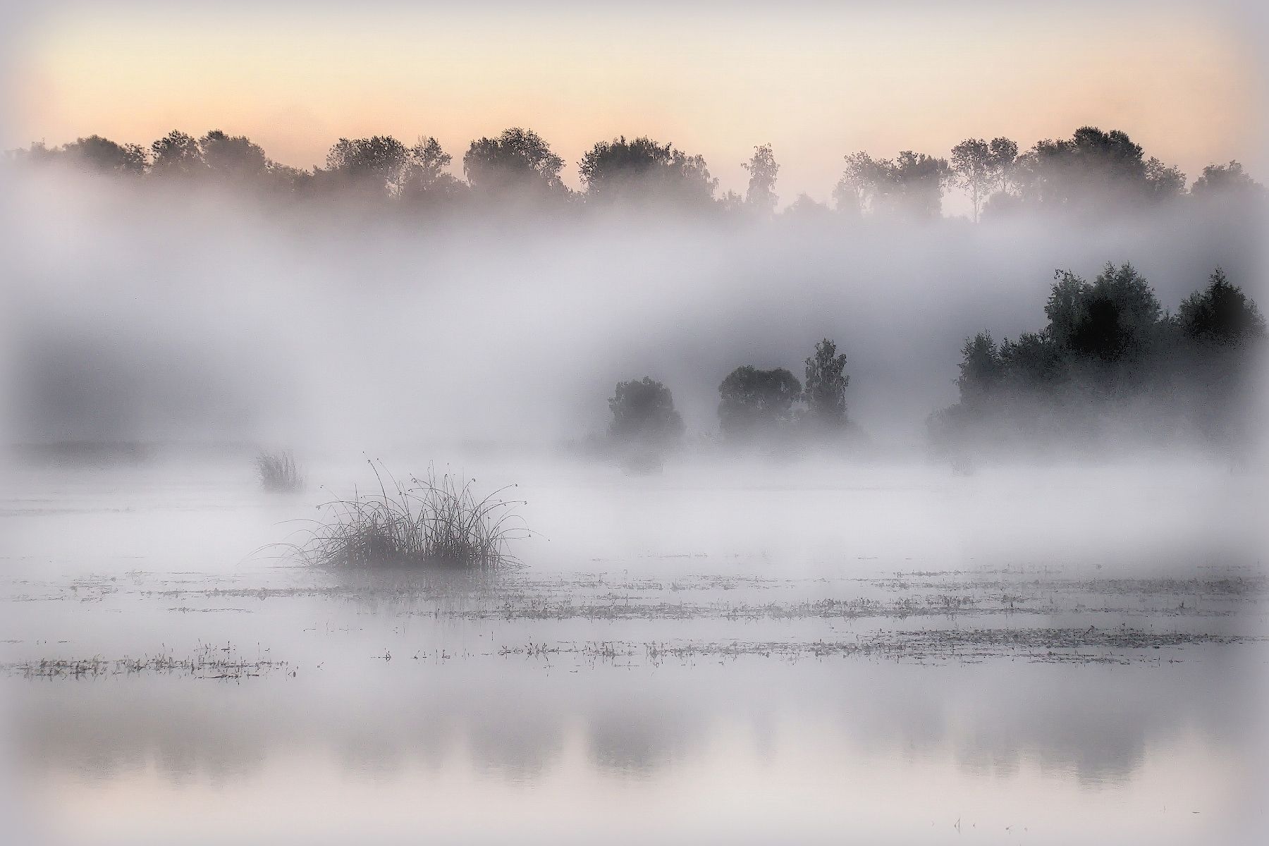 туман, утро, река, Сергей Аникин