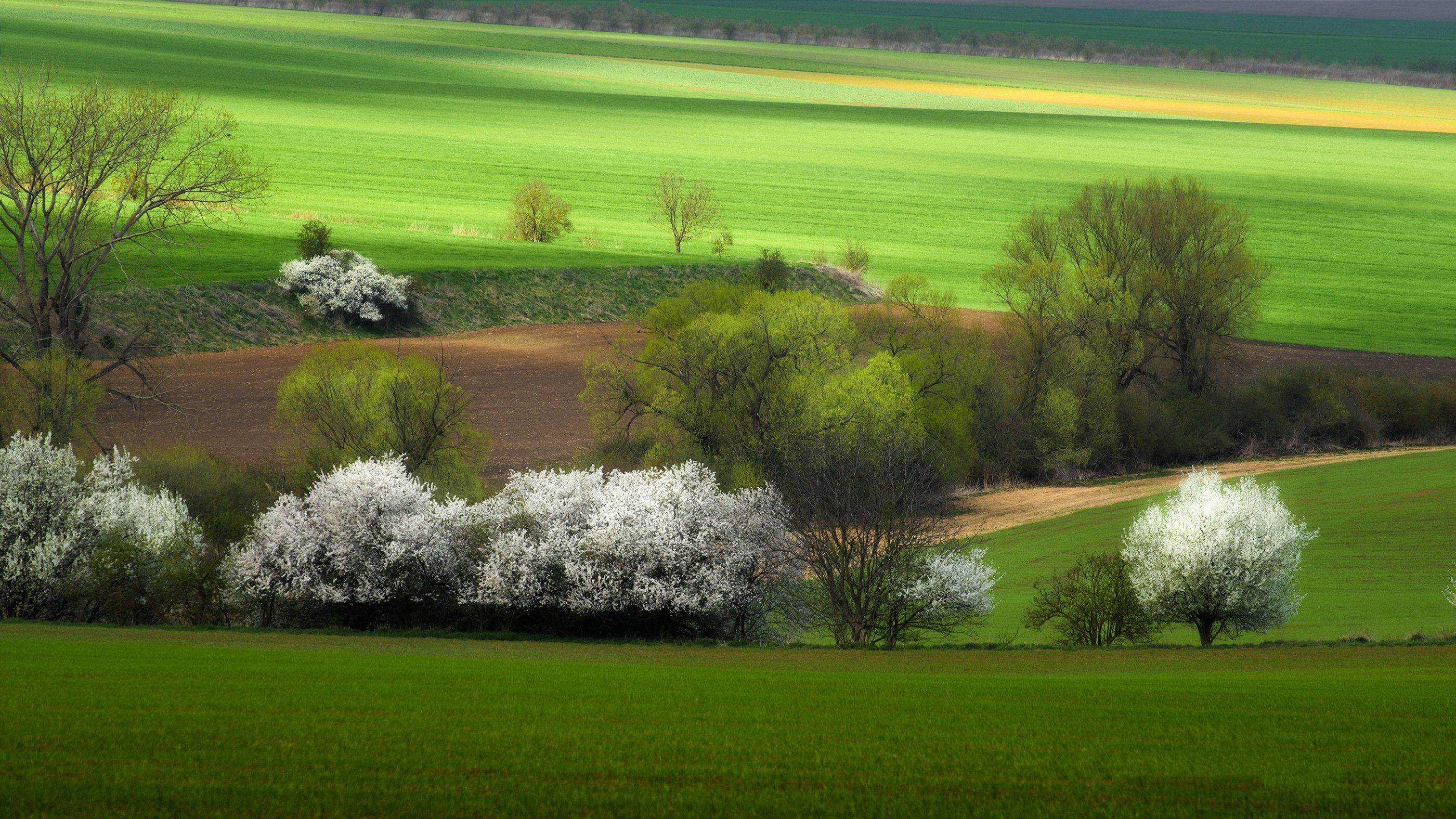 zanfoar,майский пейзаж,nikon d750,чешская республика,моравия, Zanfoar