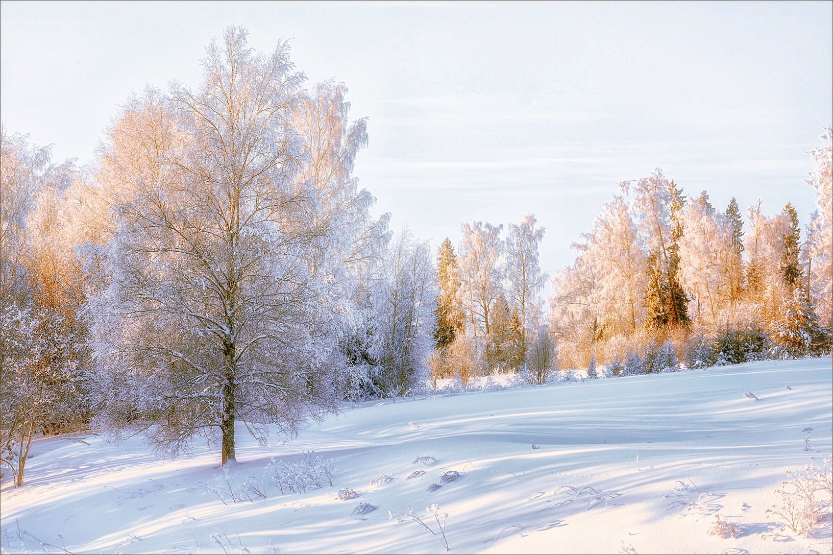 пейзаж, зима, утро, свет, цвет, александр никитинский, Никитинский Александр