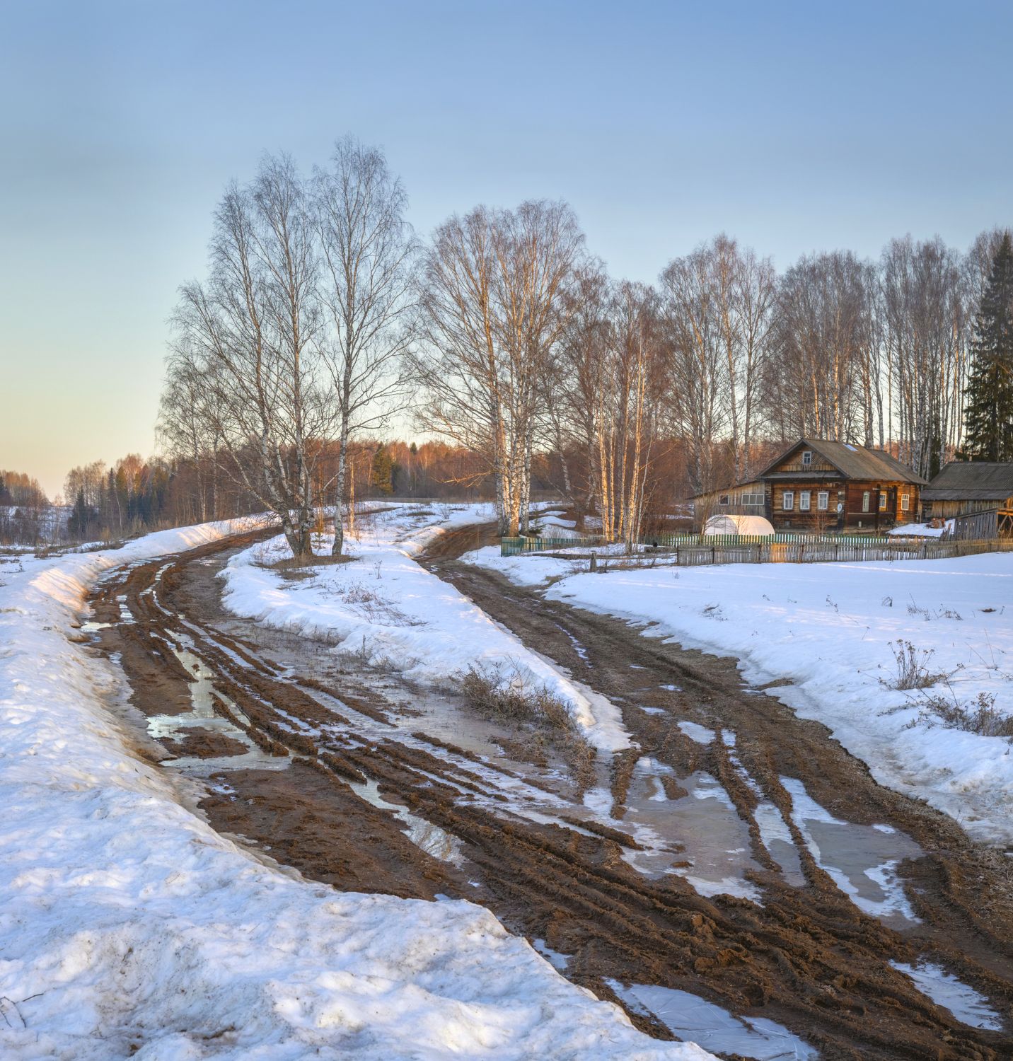 весна утро деревня рассвет снег лед дорога березы, Сергей Буторин