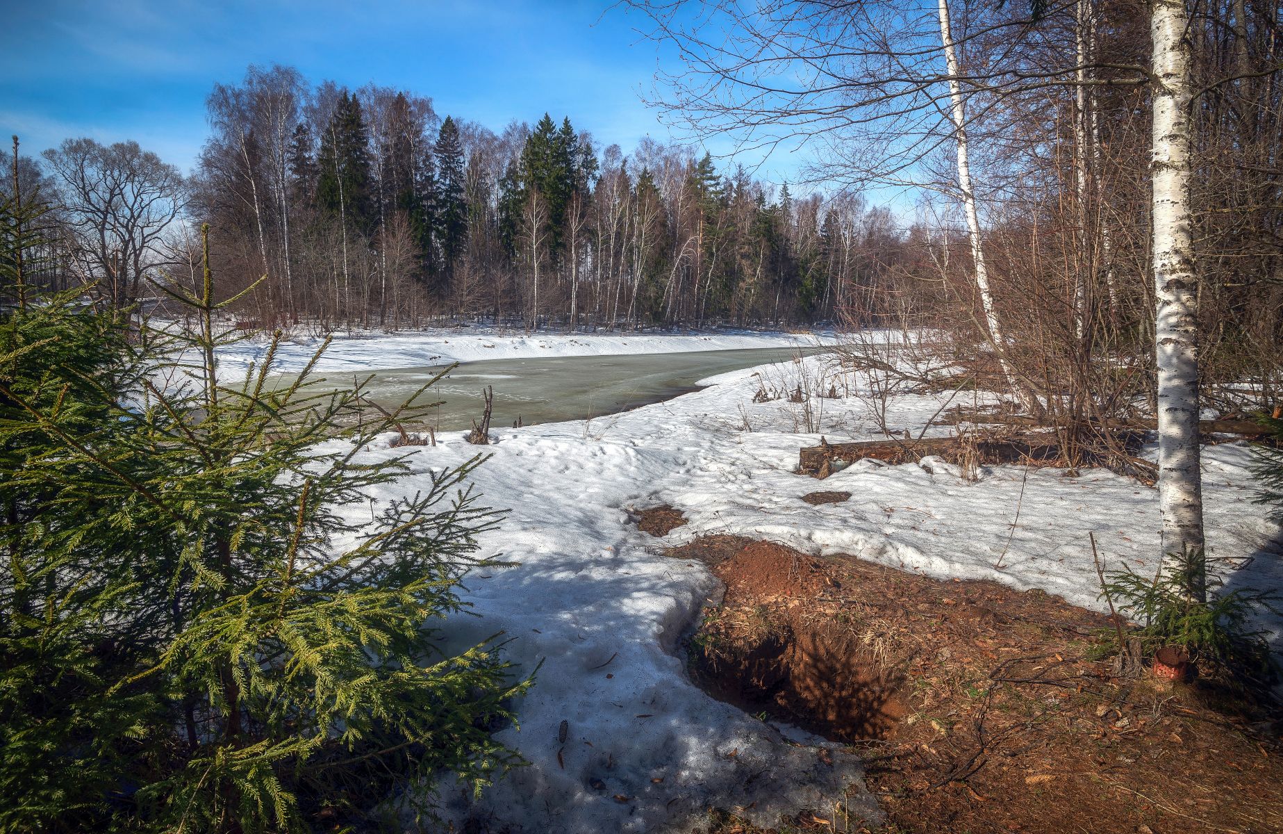 река, март, весна, снег, лес, Сергей Аникин