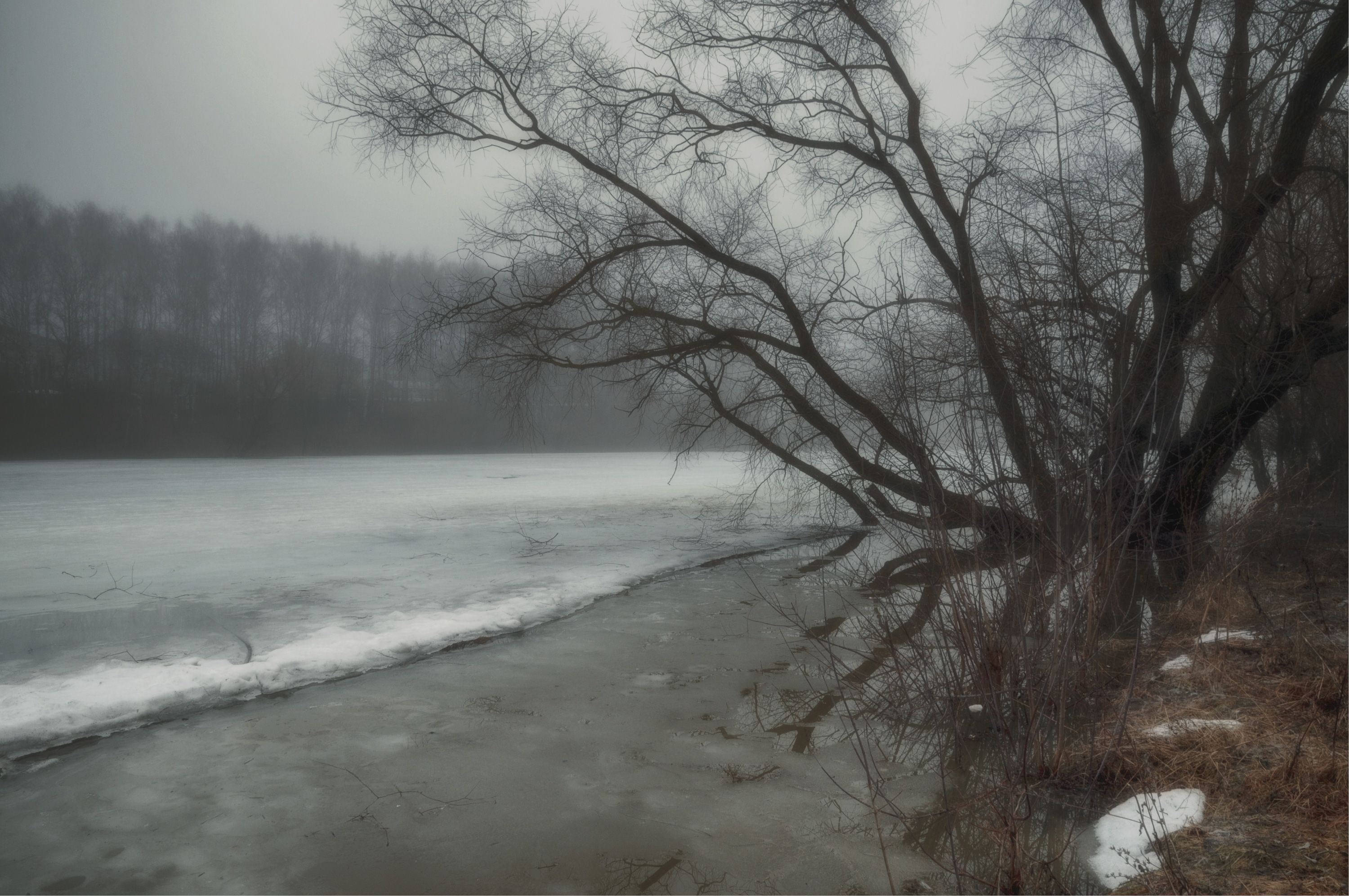 озеро вода лёд дерево туман, Вера Петри