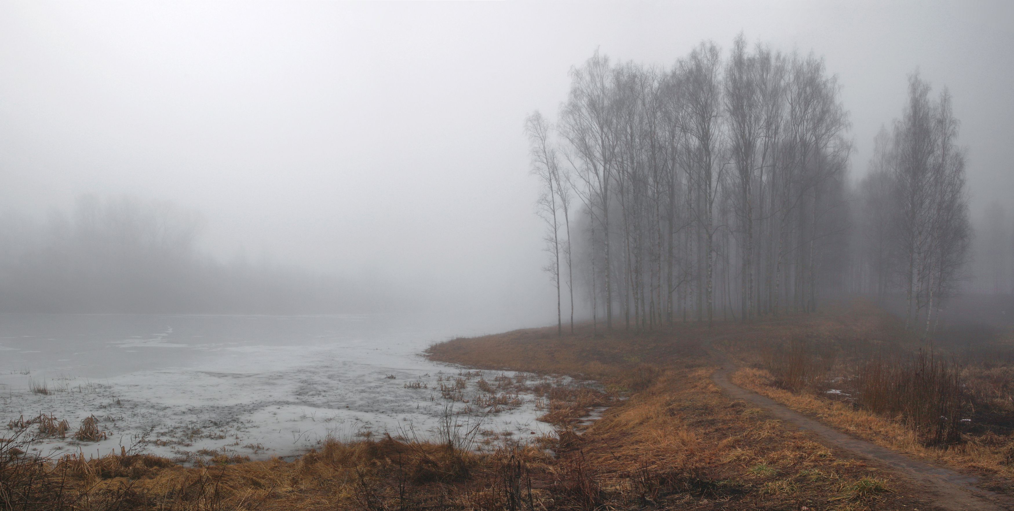 весна , лес , пруд, Александр Свистков