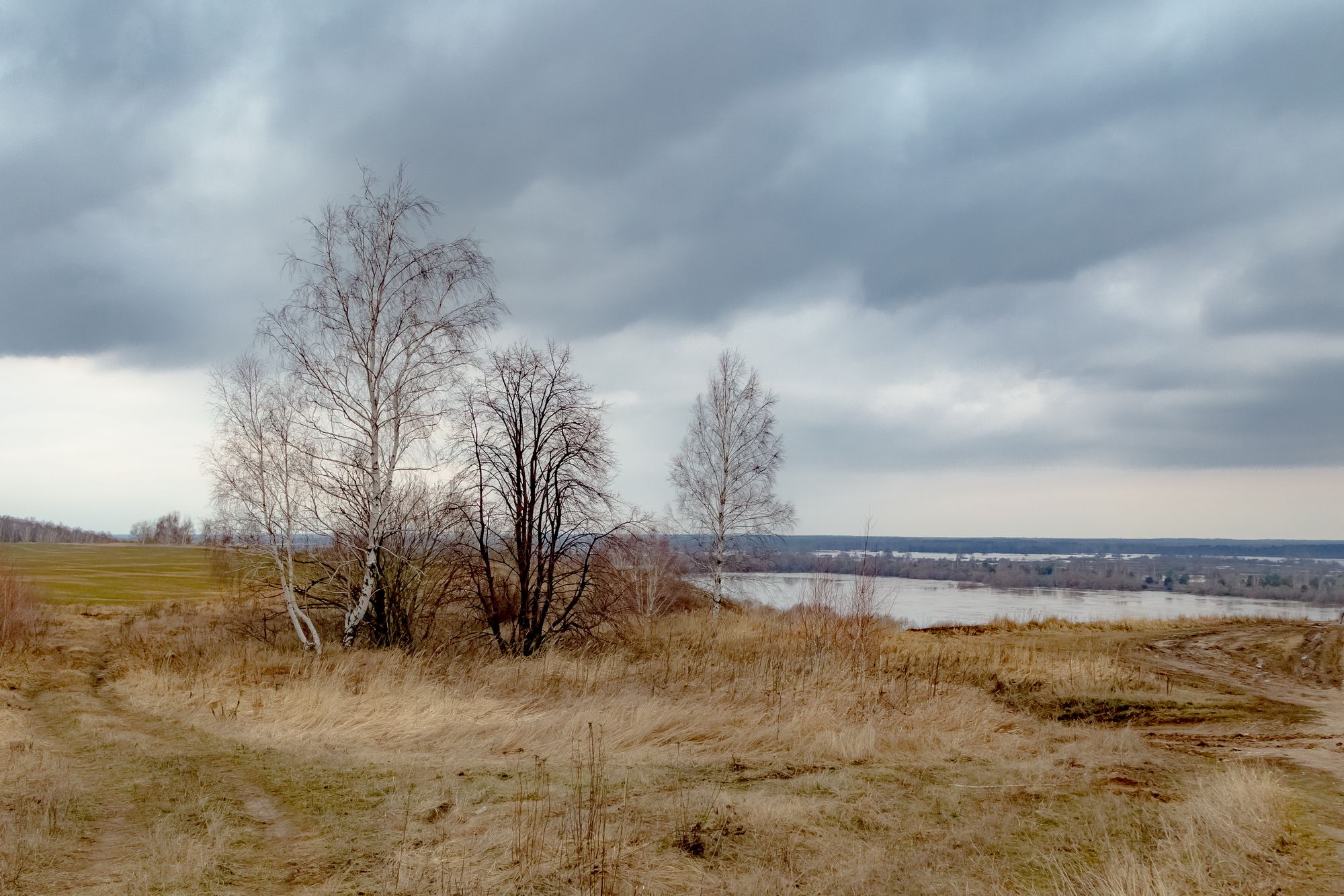 весна, разлив, река Ока, пейзаж, Юрий Морозов