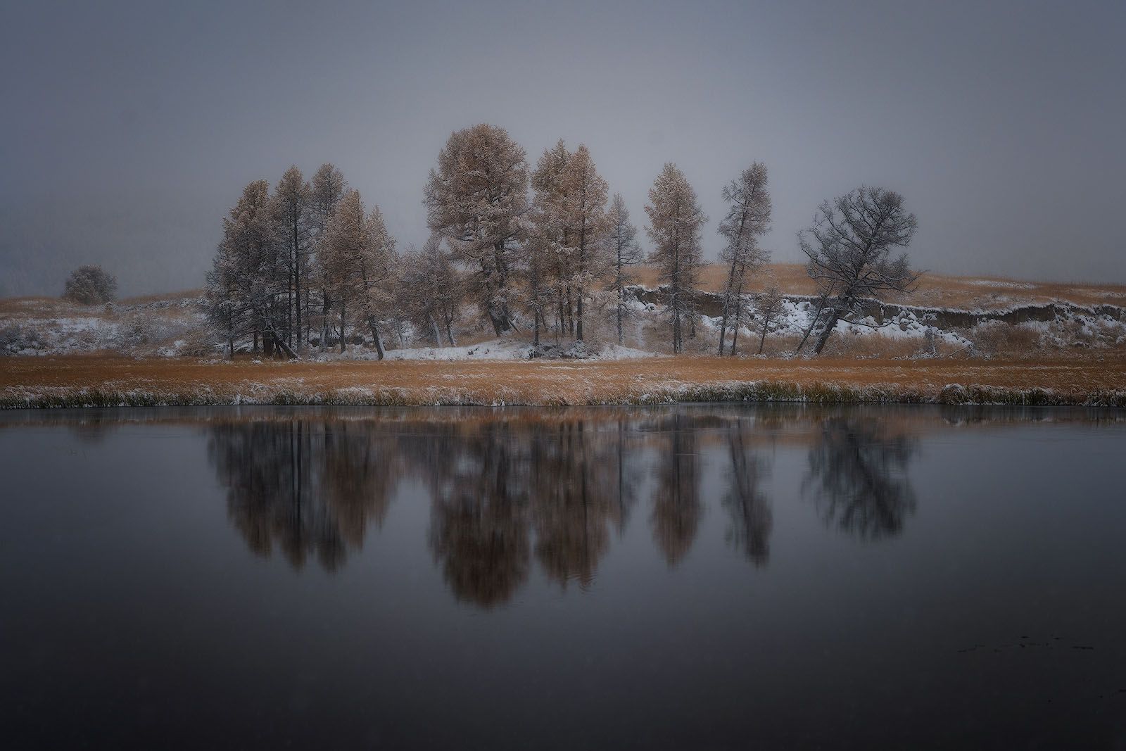 altay, autumn, october, cold, trees, mirror, landscape, Алексей Вымятнин