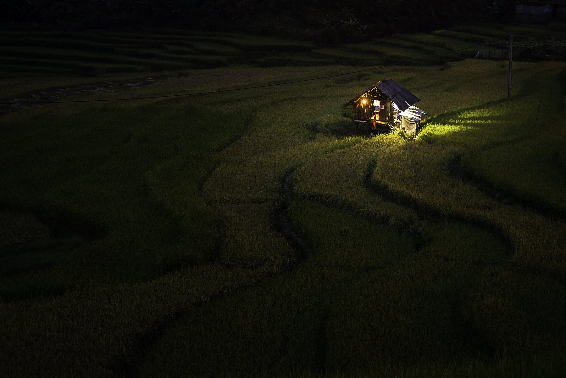 Asia, Asian, Field, Landscape, Night, Nikon, Rice, Terraces rice field, Thailand, Vietnam, Saravut Whanset