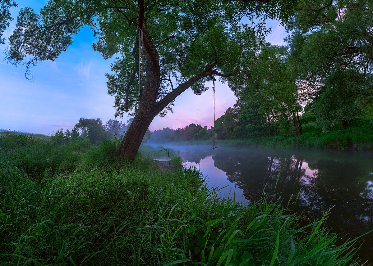 тарзанка, дерево, река, утро, туман, Konstantin Voronov