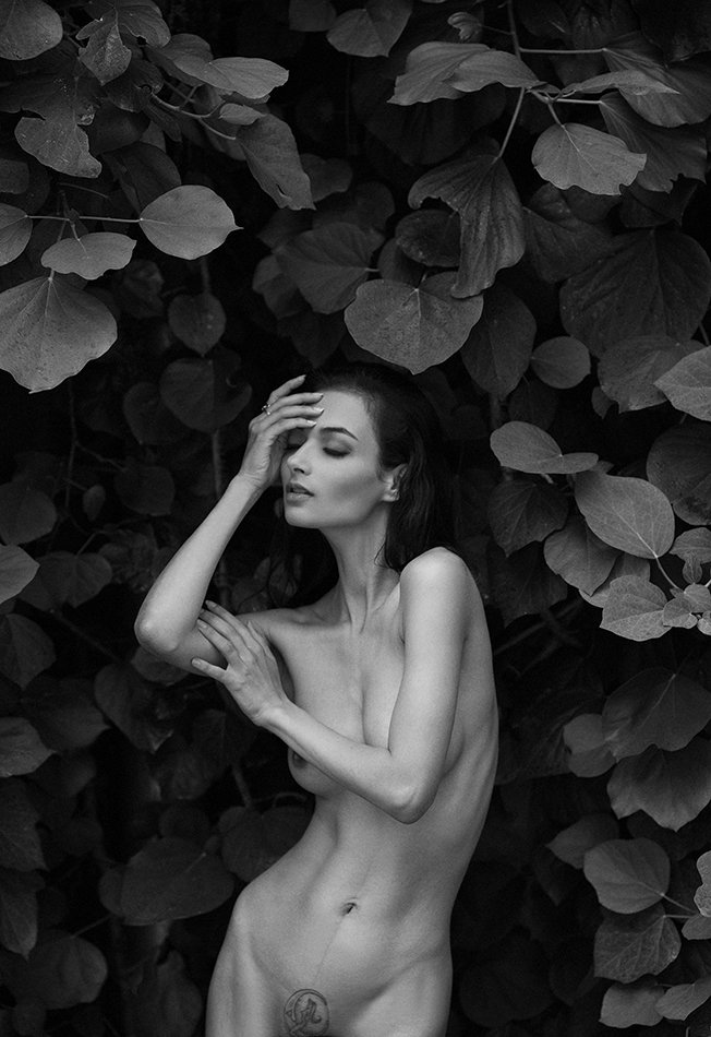 photo, girl, portrait, blackandwhite, nude, art, Елена Daedra Алферова