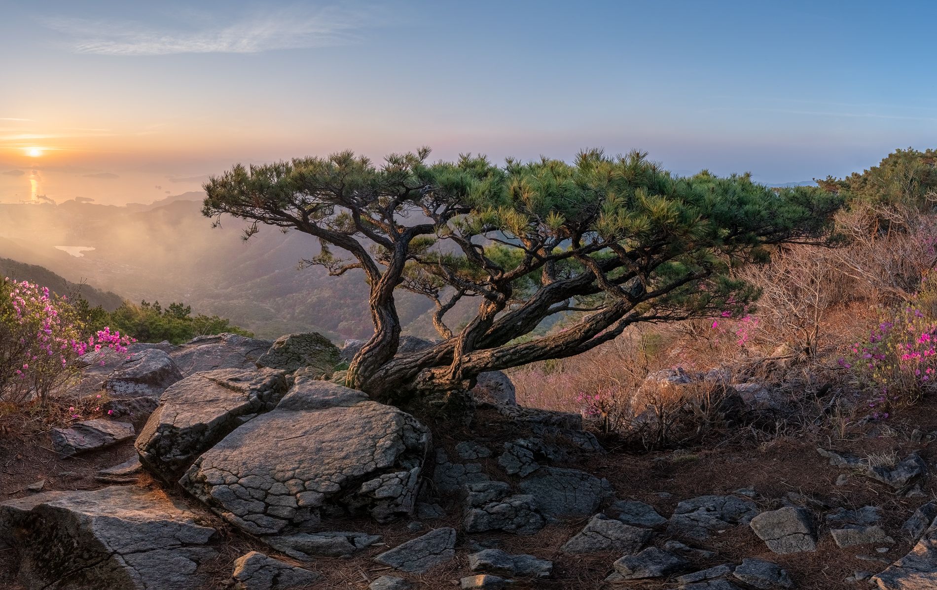 Jaeyoun Ryu фотограф