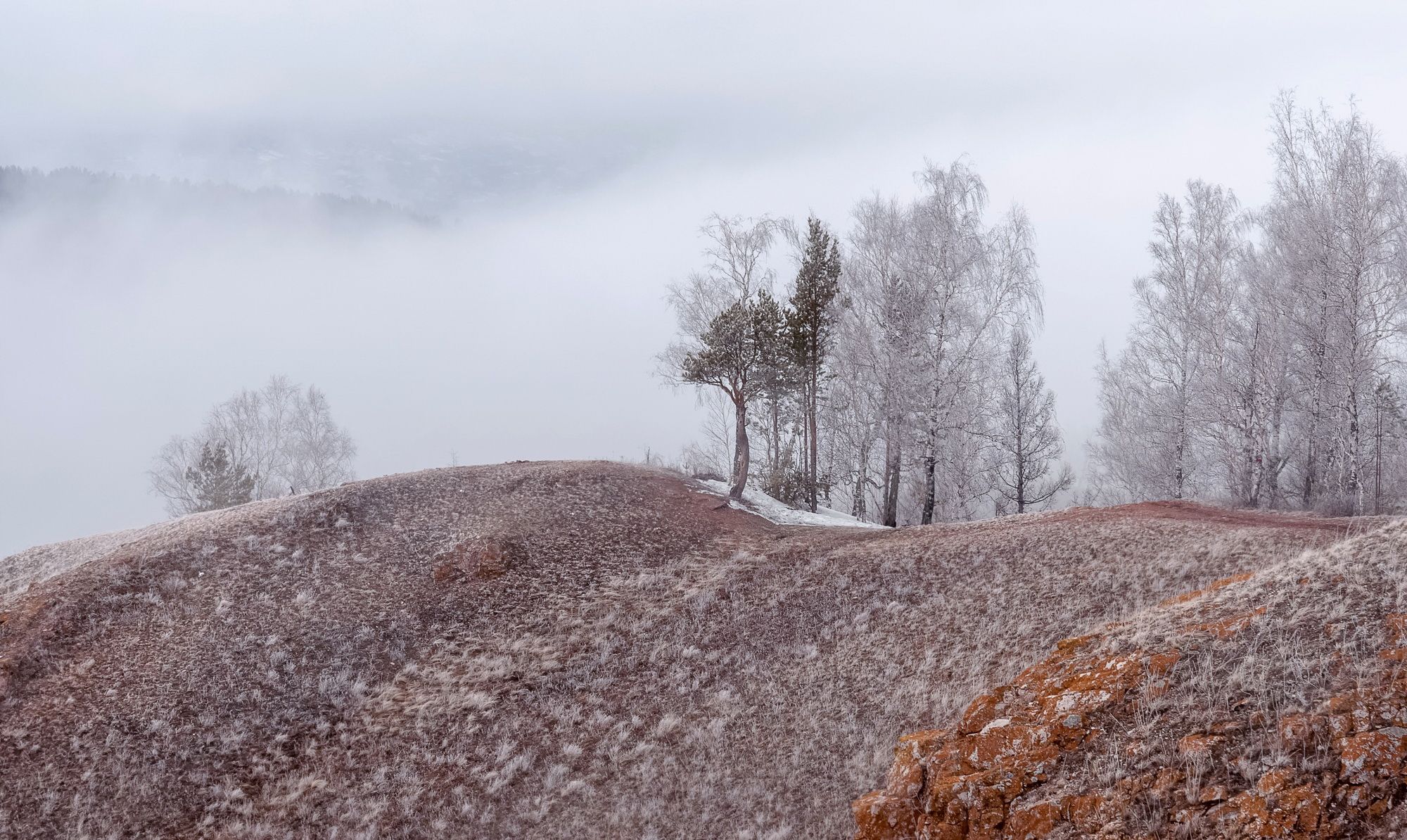 сибирь, торгашинский хребет, весна, туман, Фомина Марина