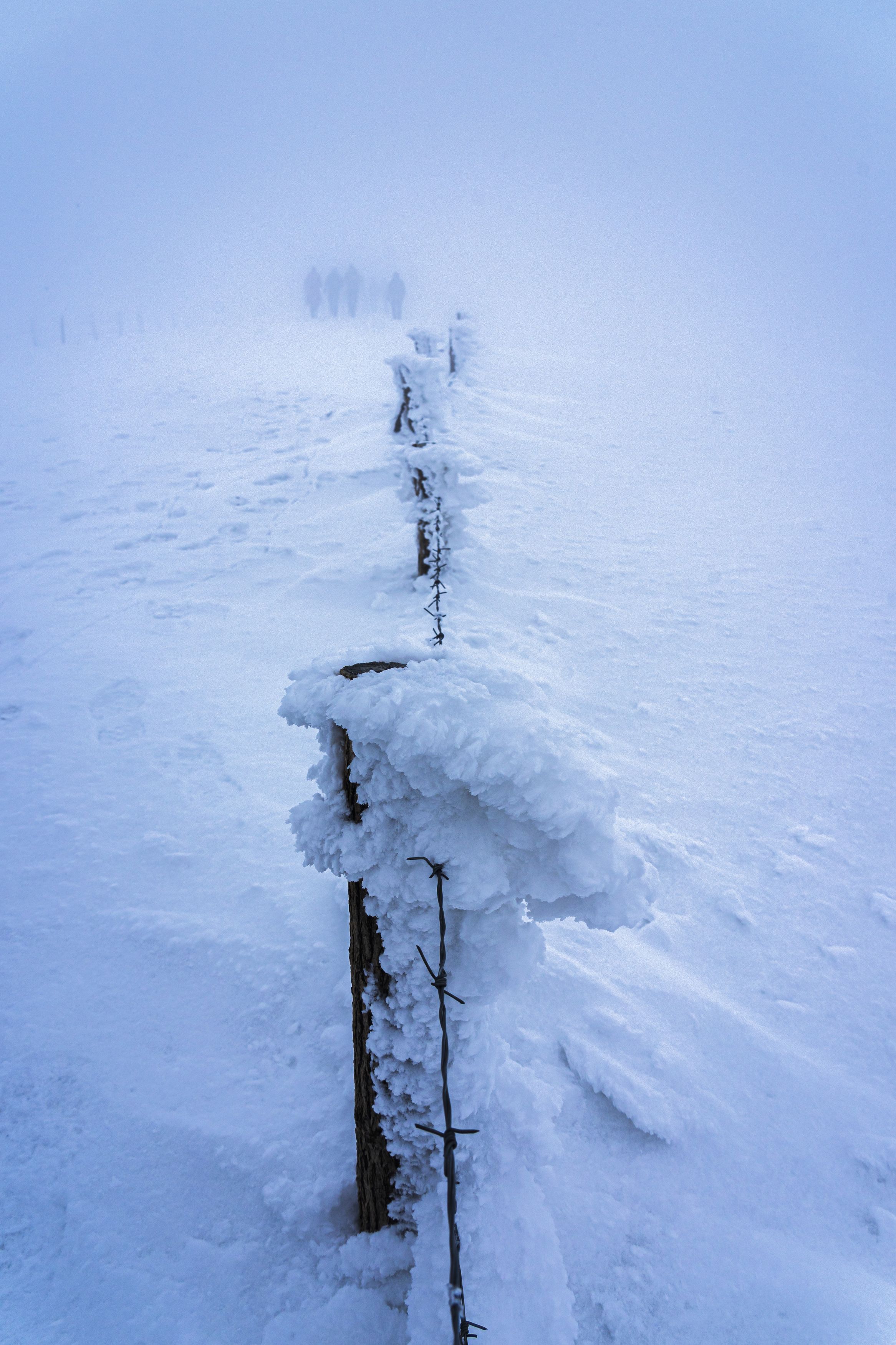 snow landscape nature vertical, viktor demidov