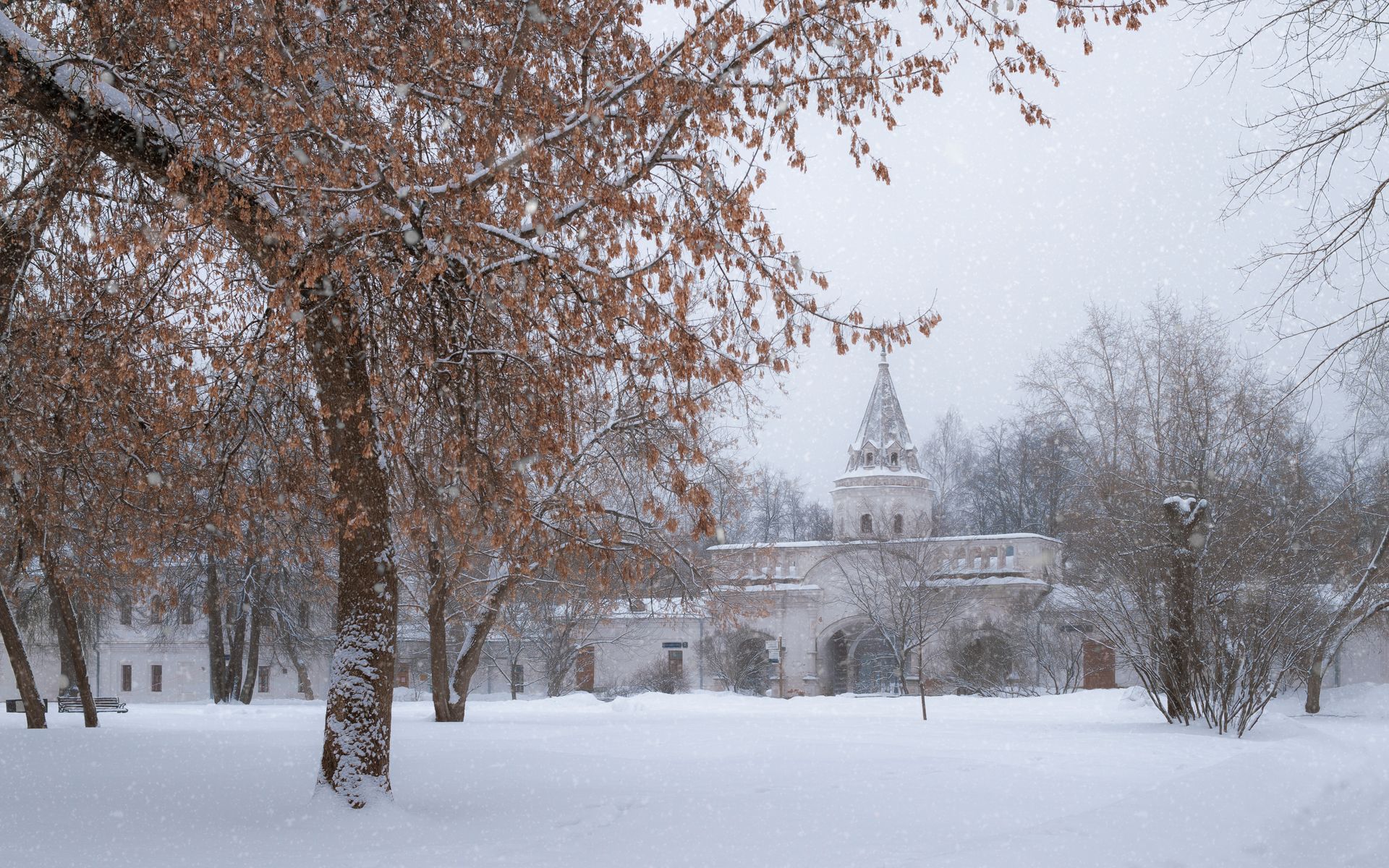 деревья, парк, снег, пейзаж, Валерий Вождаев