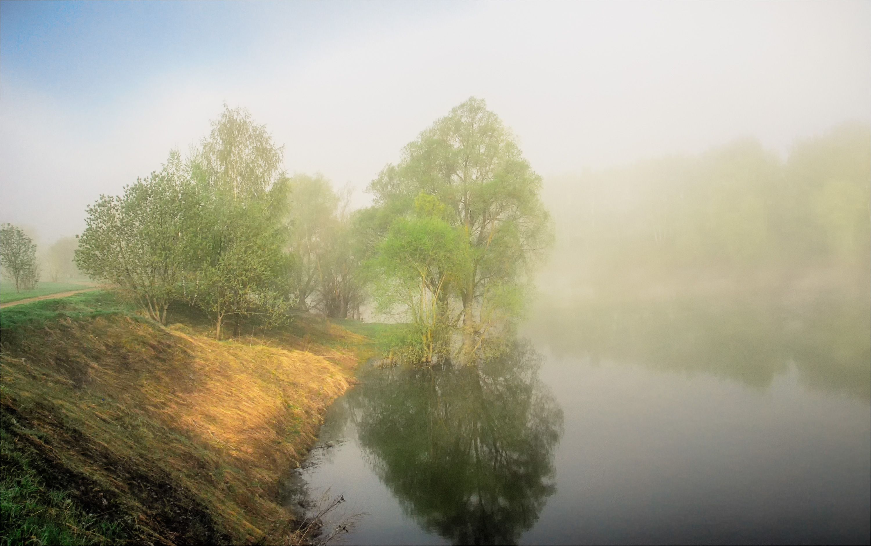 туман деревья отражение весна, Вера Петри