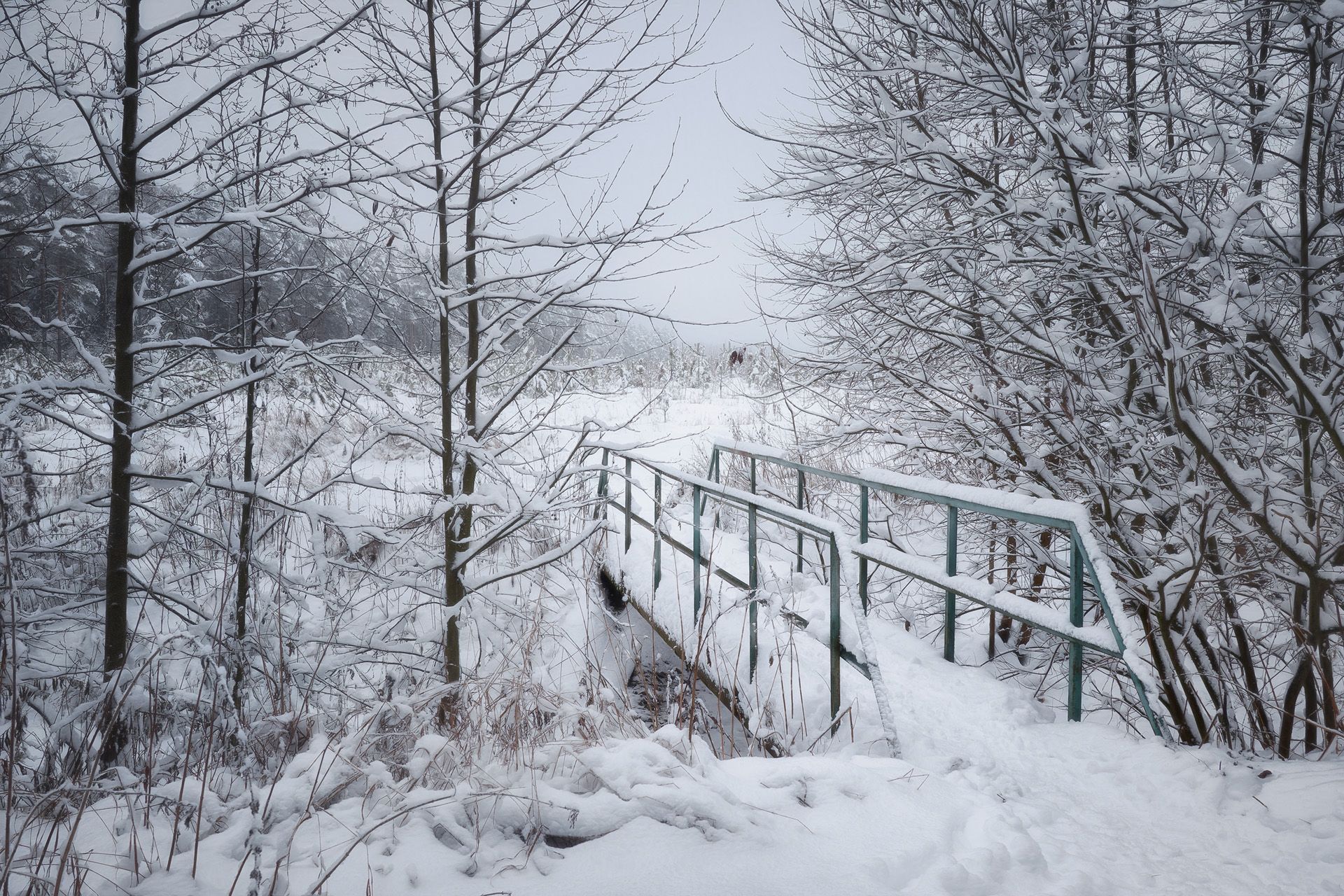 лес, зима, снег, деревья, пейзаж, мостик, Валерий Вождаев