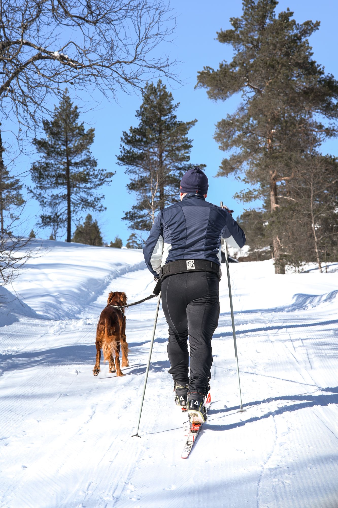 norway ski winter tur mauntains, Ольга Кудина