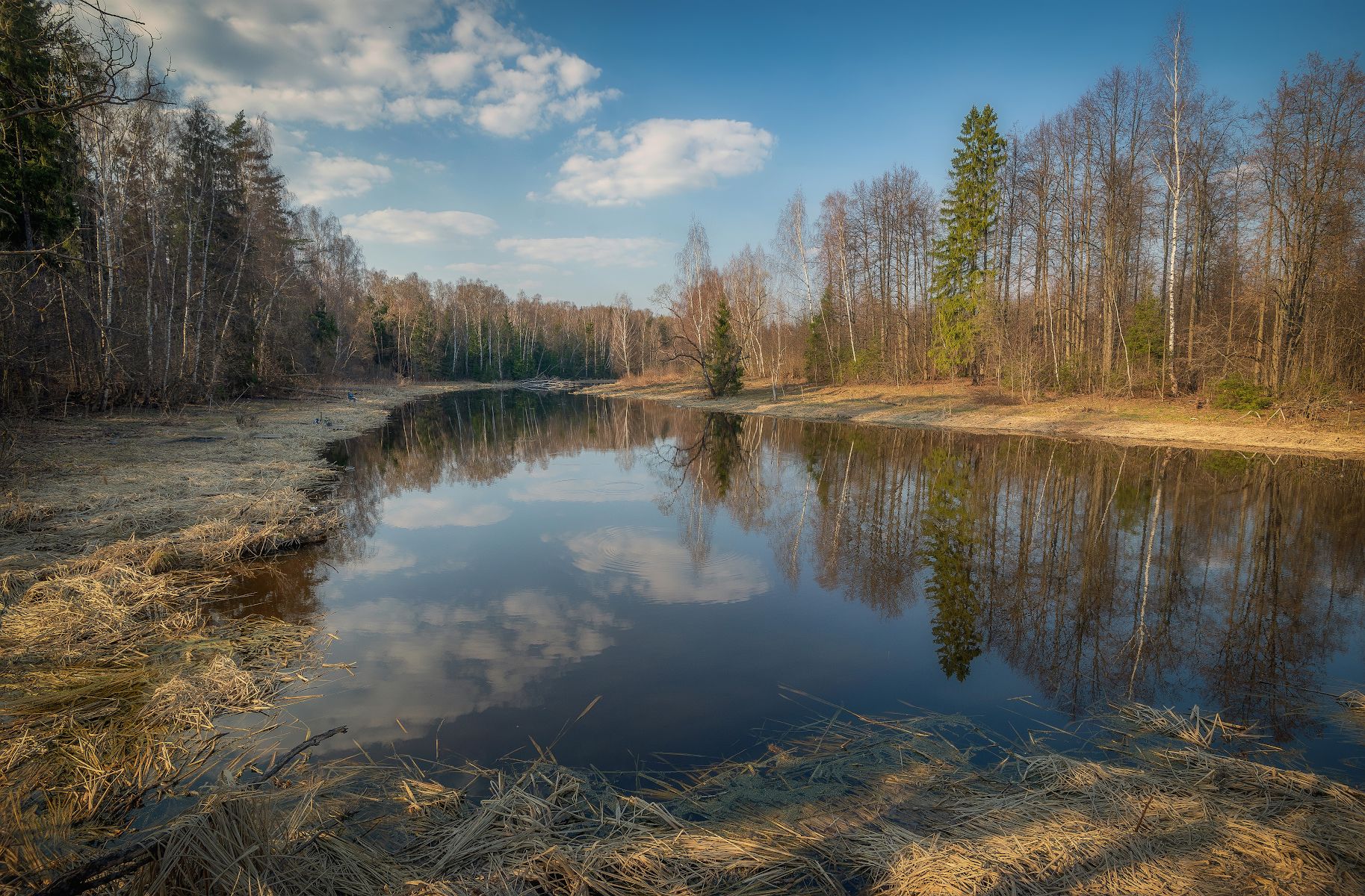 половодье, весна, река, лес, апрель, Сергей Аникин