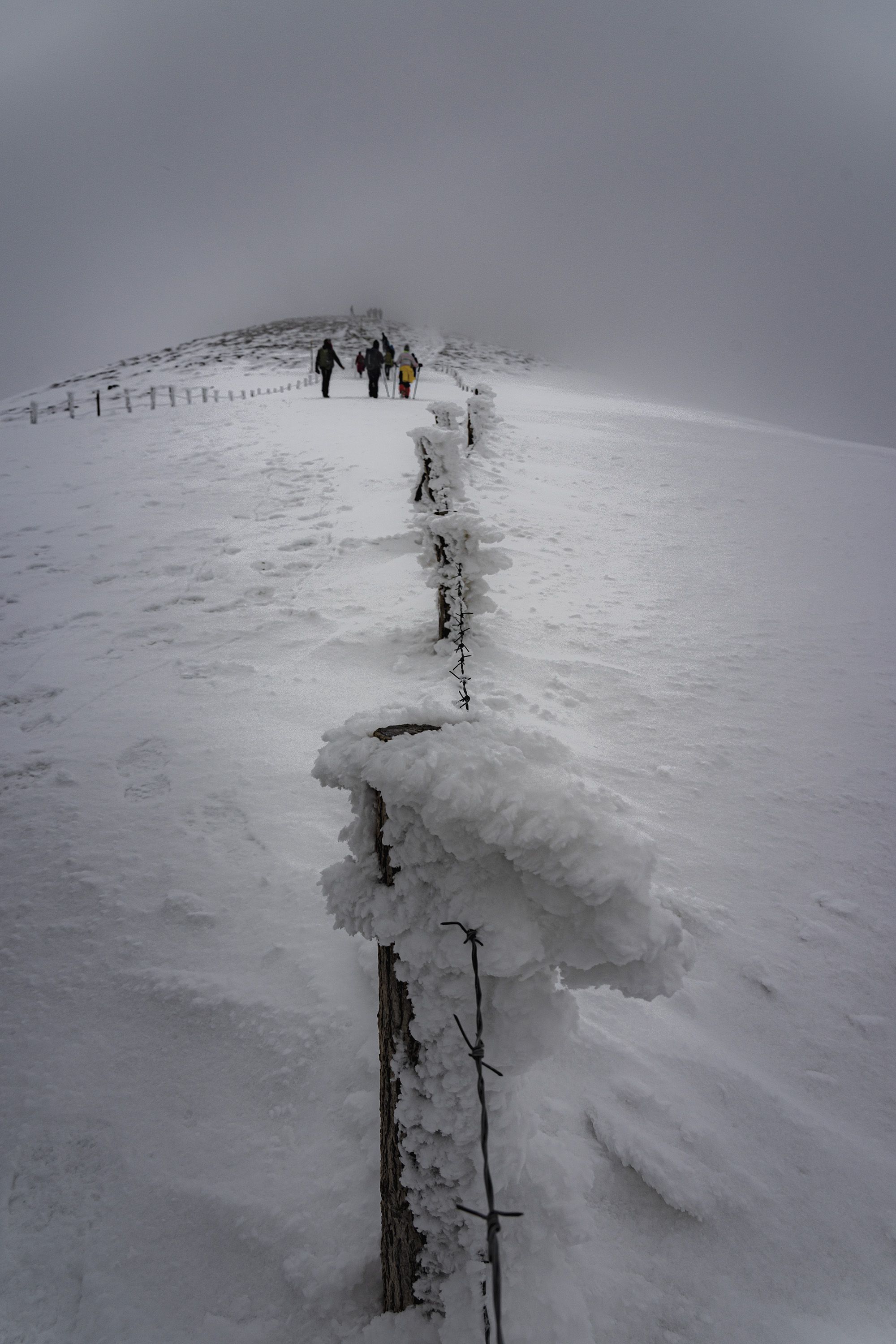 snow landscape vertical, viktor demidov