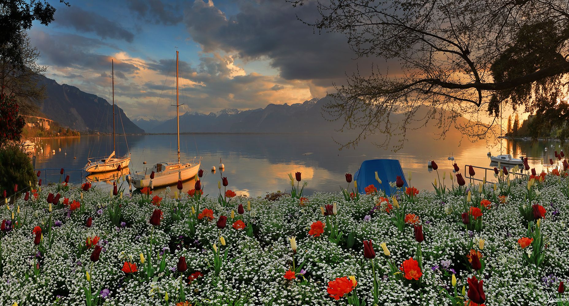 swiss,швейцария,весна,montreux, Николай Матвеев