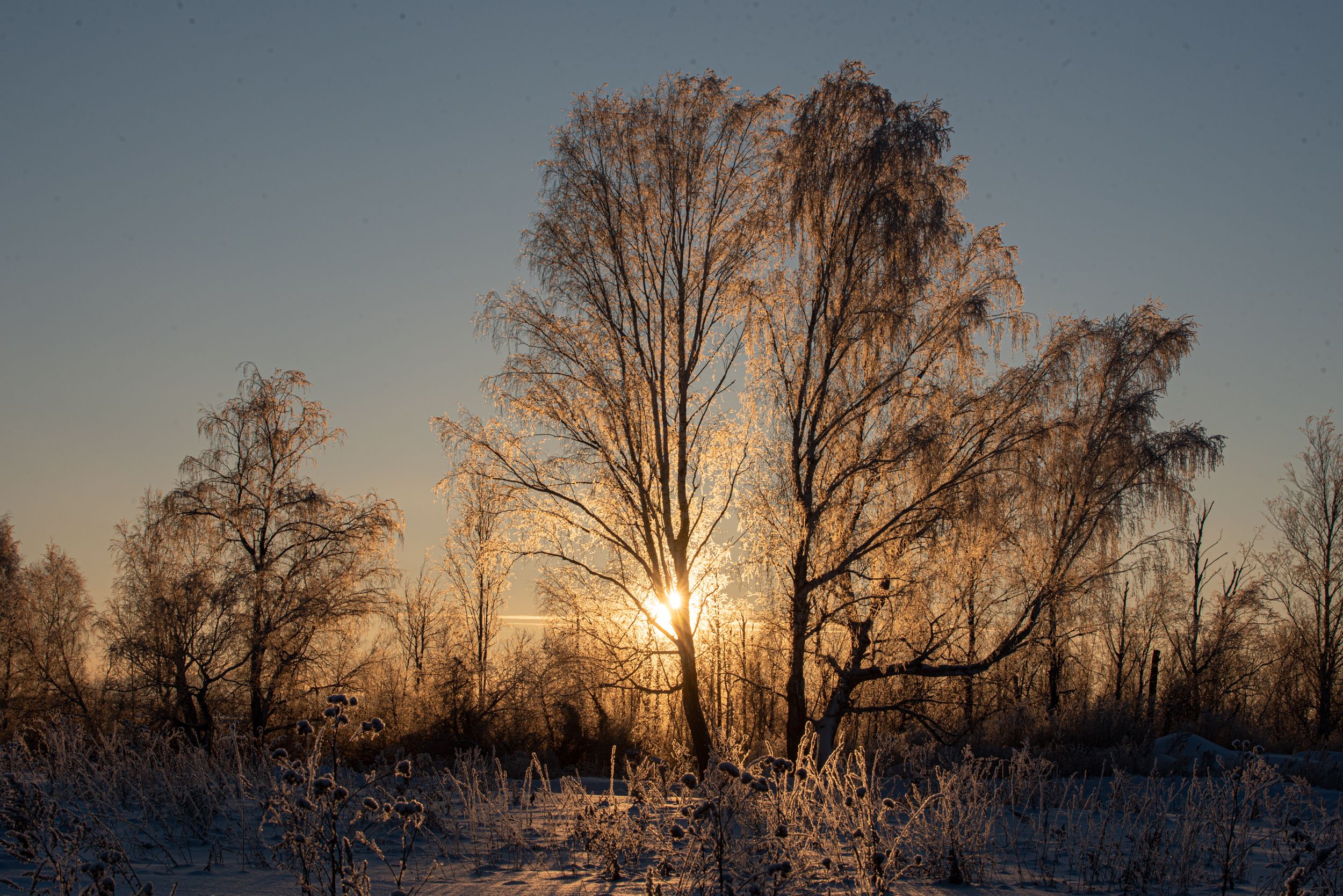 winter, landscape, nature, природа, зима, пейзаж, Kurlov Aleksei