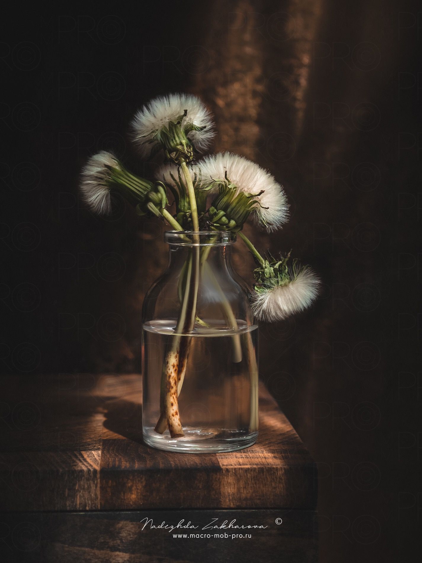 , Захарова Надежда