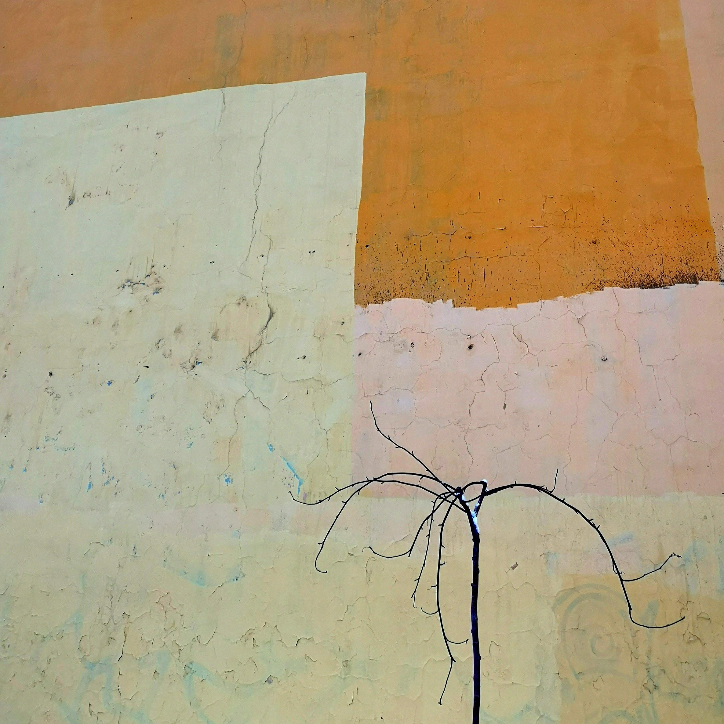 , Антон Лаба