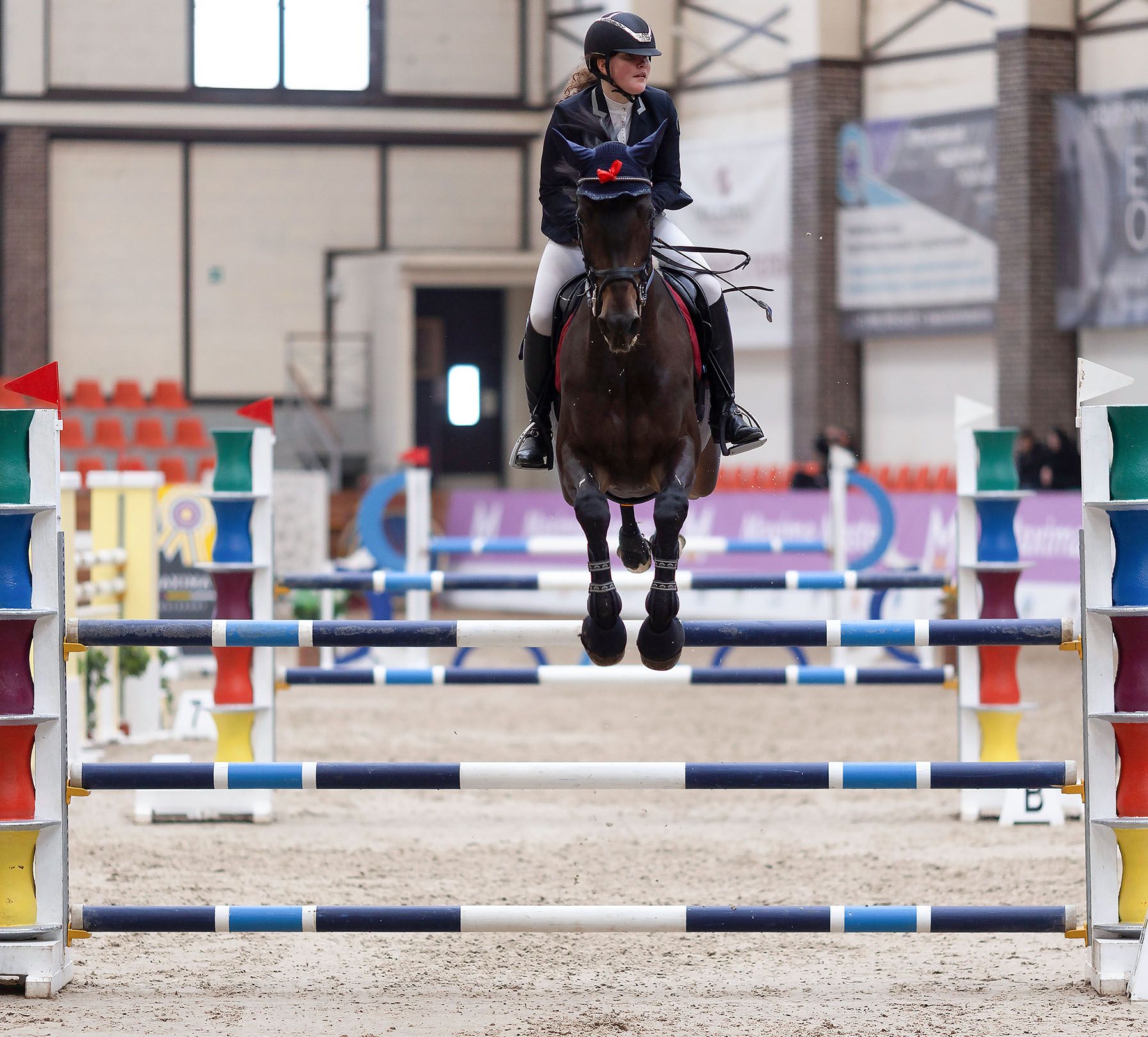 конкур, спорт, соревнования, sport, horse, competition, emotional, Стукалова Юлия