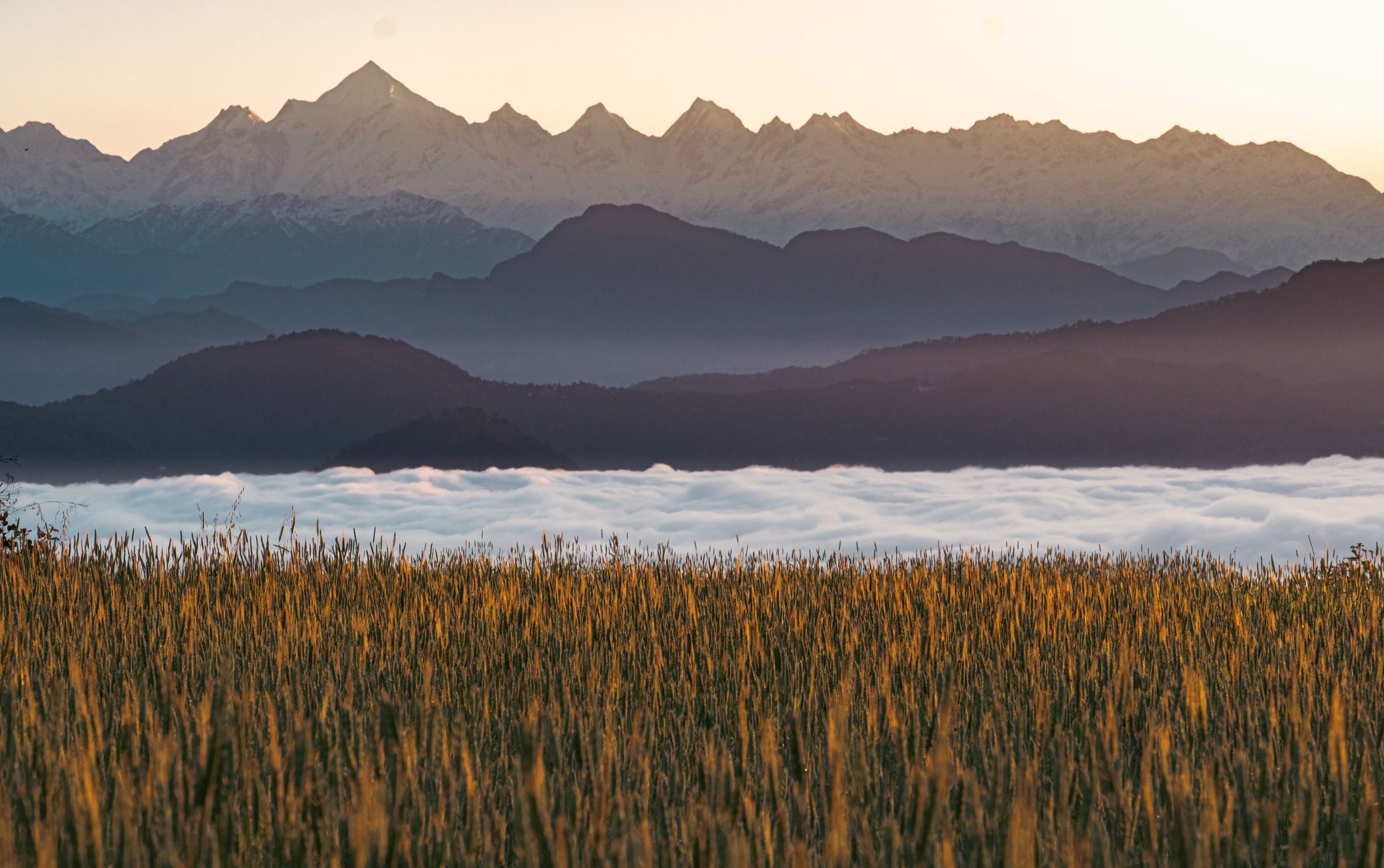 #morning #himalaya #nature #landscape #beauty #beautiful #india #sunrise #uttarakhand #travel, Digvijay singh Janoti