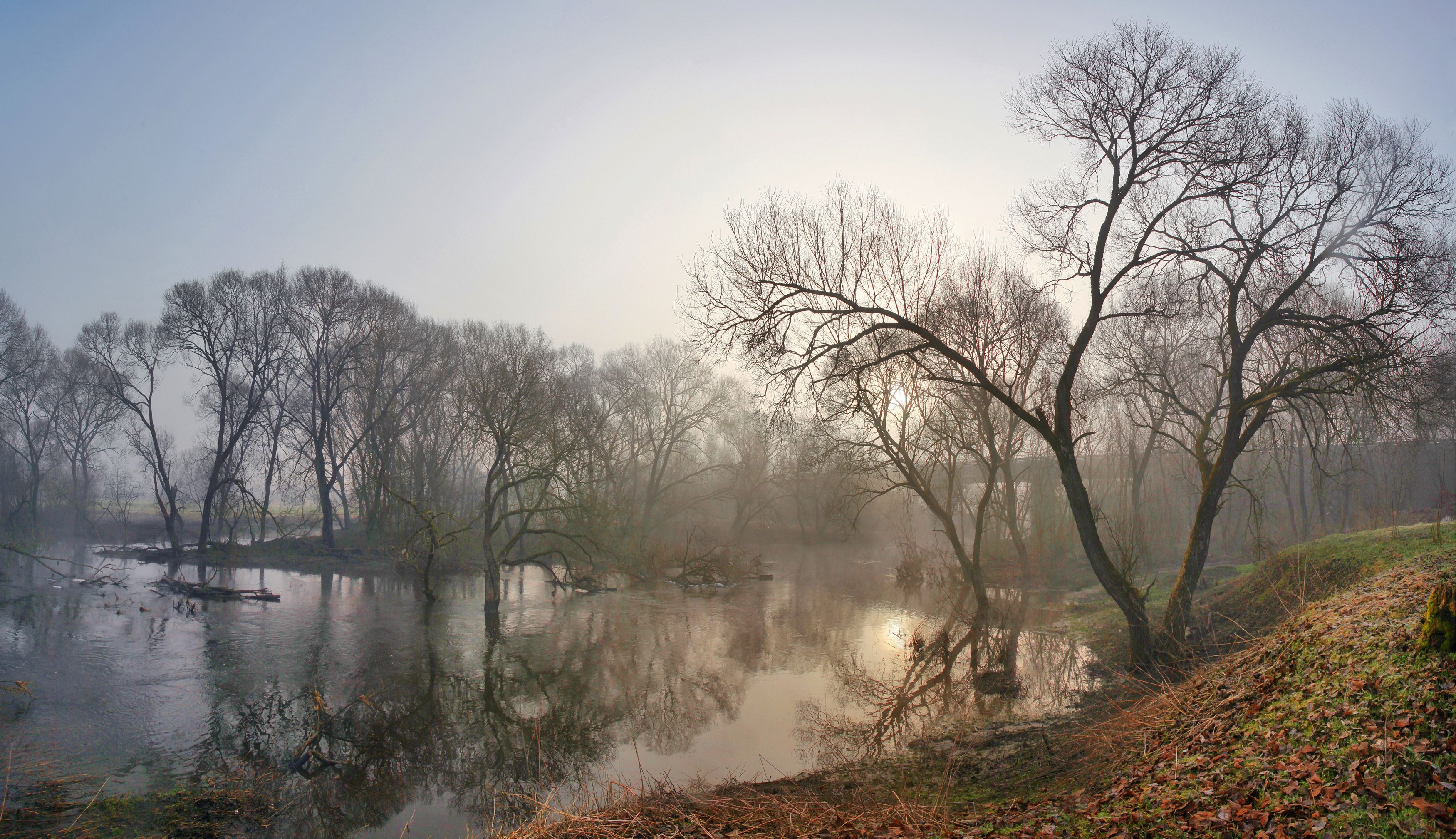 весна , туман , река, Александр Свистков