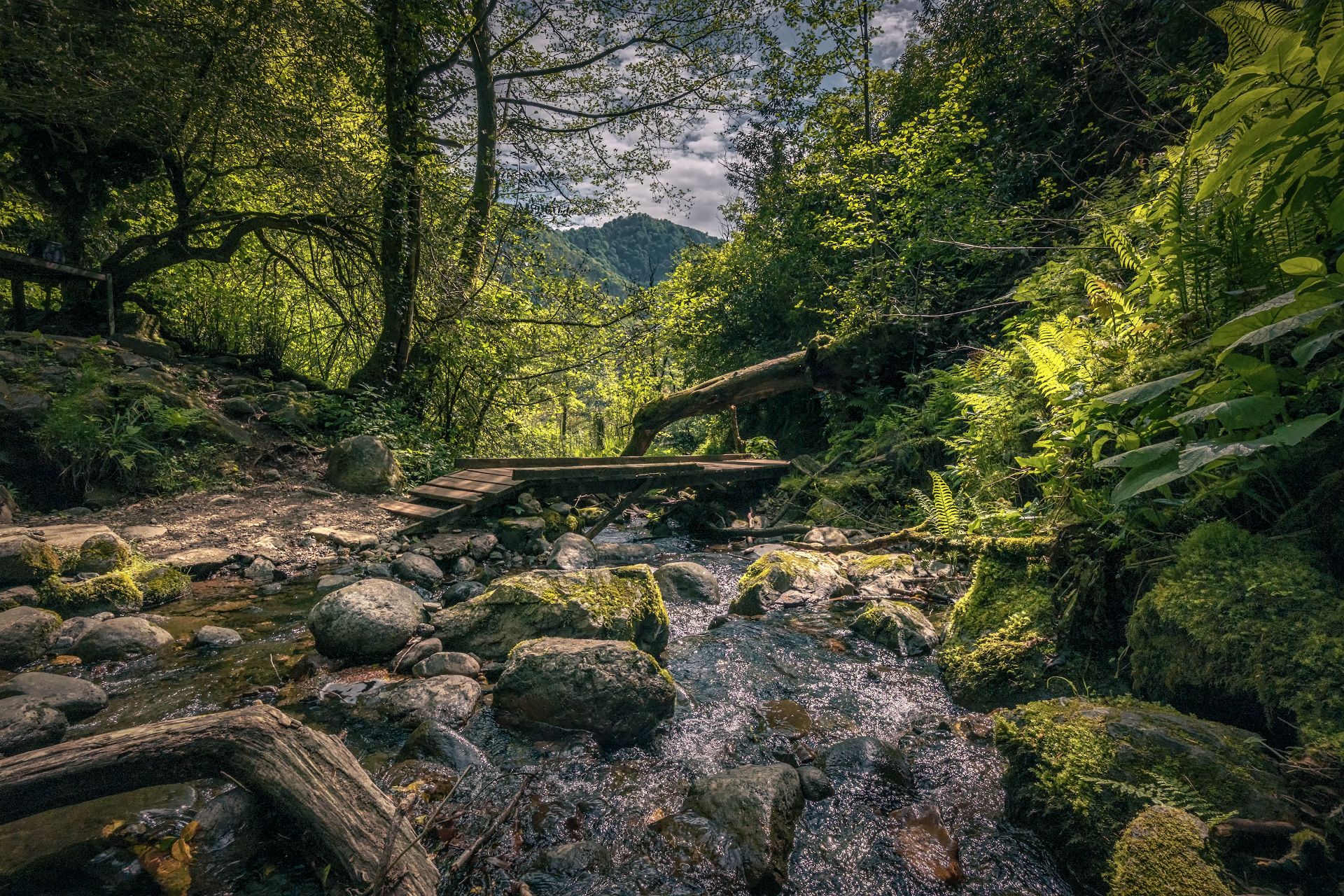 bridge, creek, water, waterfall, wood, forest, stones, trees, green, moss, mountains, landscape, scenery, travel, outdoors, georgia, adjara, sakartvelo, chizh, Чиж Андрей