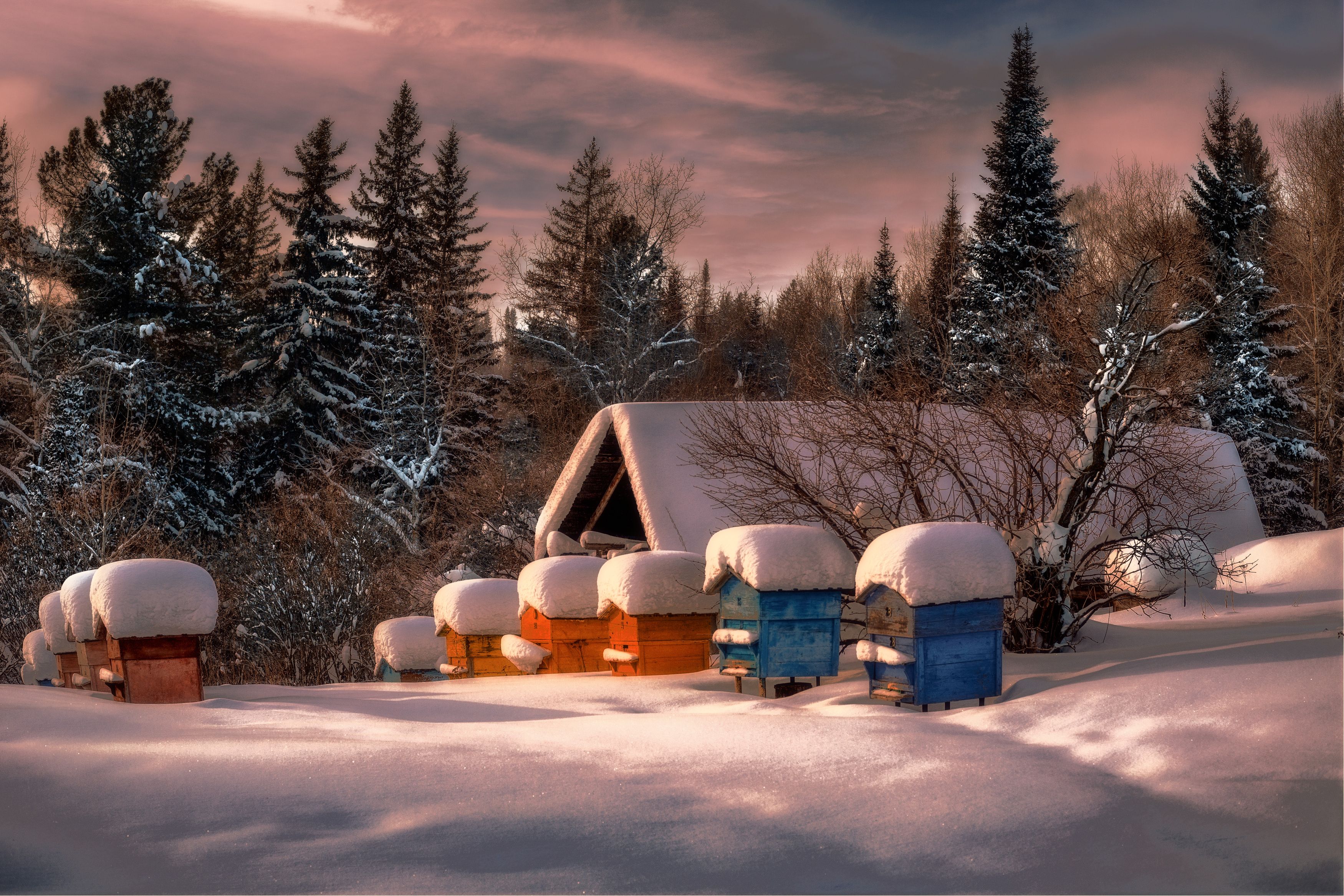 зима, природа, лес, пейзаж, деревня, закат, Viktor Kholudeyev